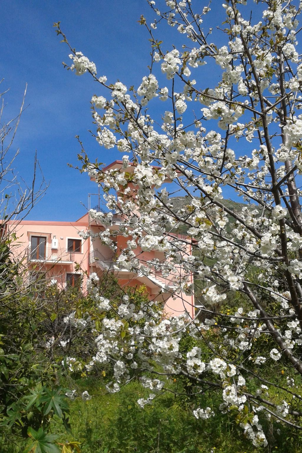 In Letojanni mit Terrasse-Inside