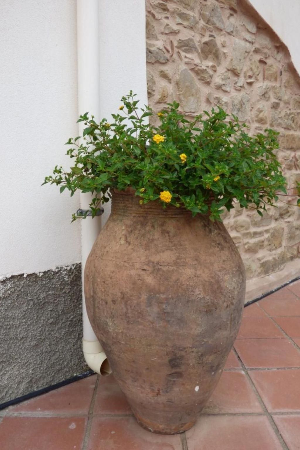 Landhaus mit Blick auf die Äolischen Inseln-Binnen