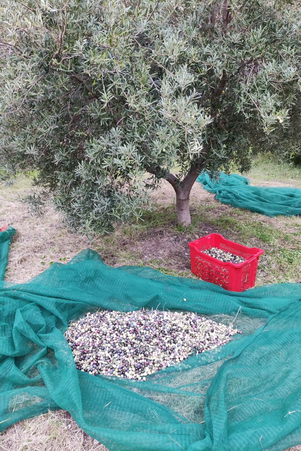 "Haus am Meer in Sizilien"-Binnen