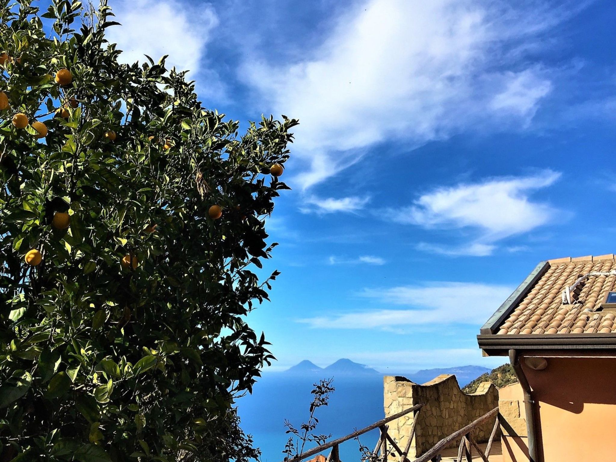 Granatapfel-Wohnung-Image-tags.info