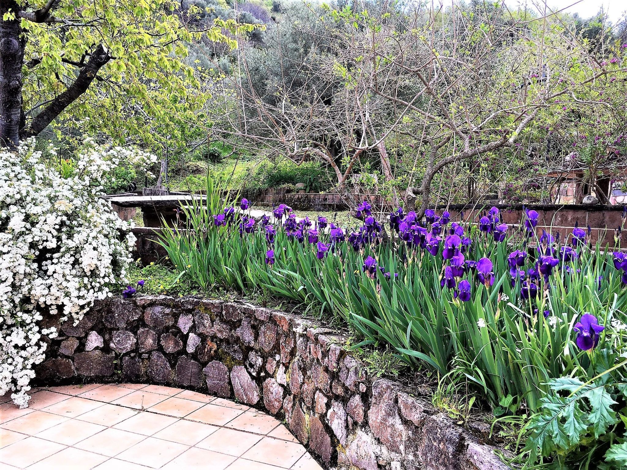 Granatapfel-Wohnung-Buiten