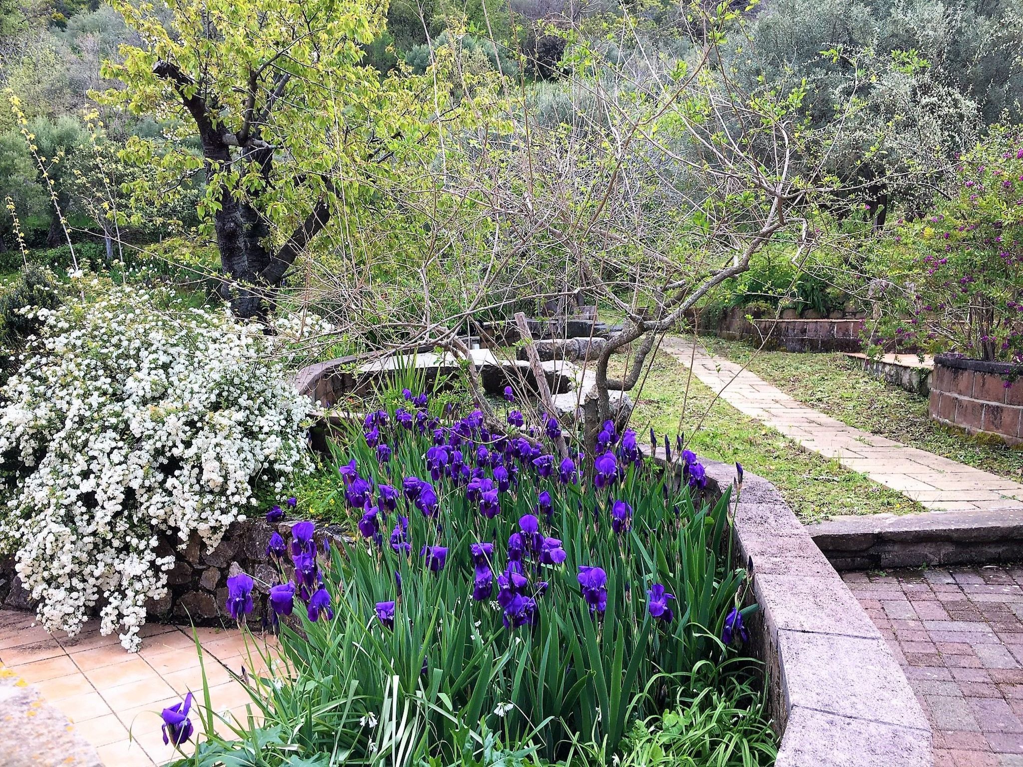 Granatapfel-Wohnung-Buiten