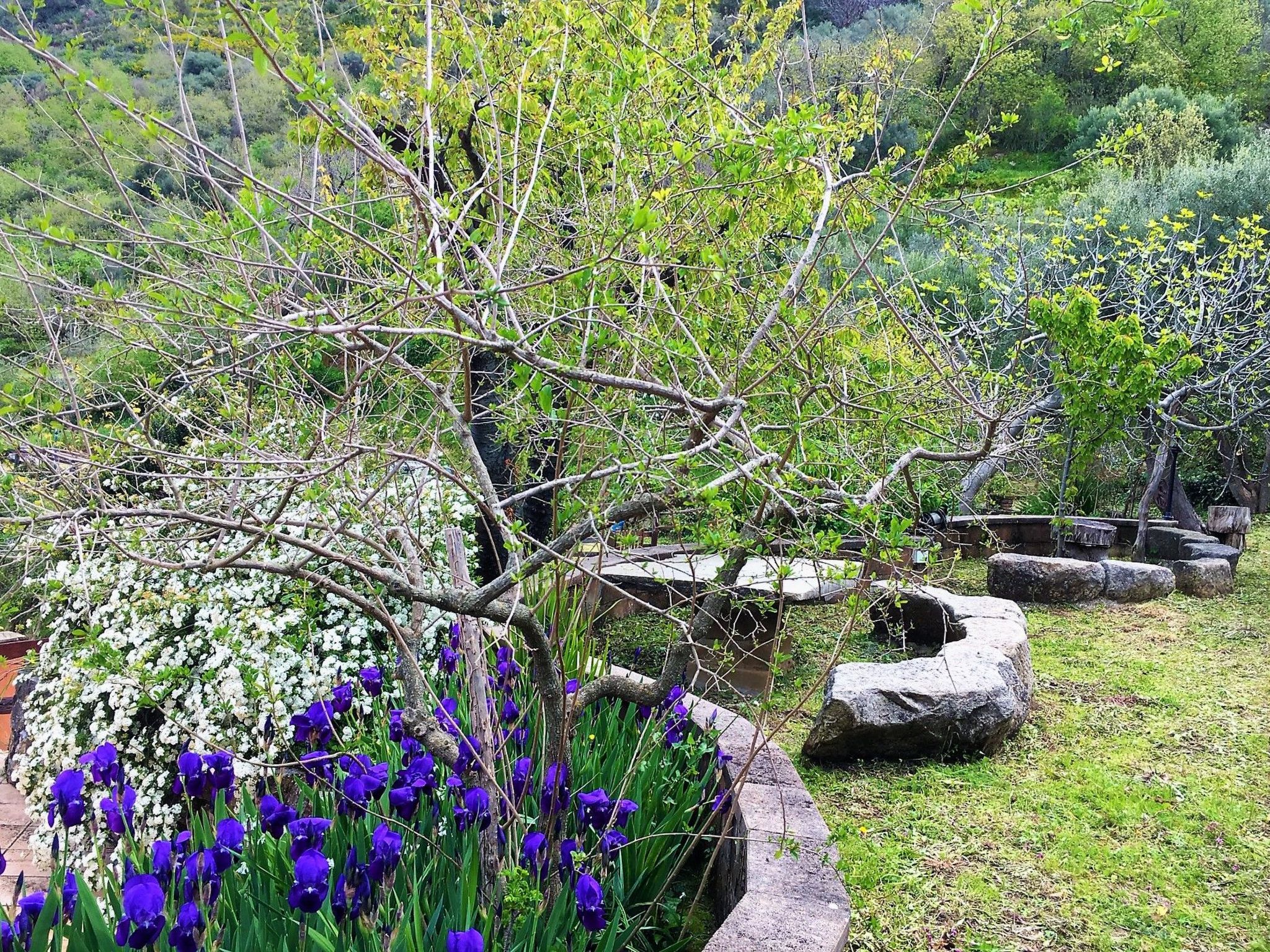 Granatapfel-Wohnung-Buiten