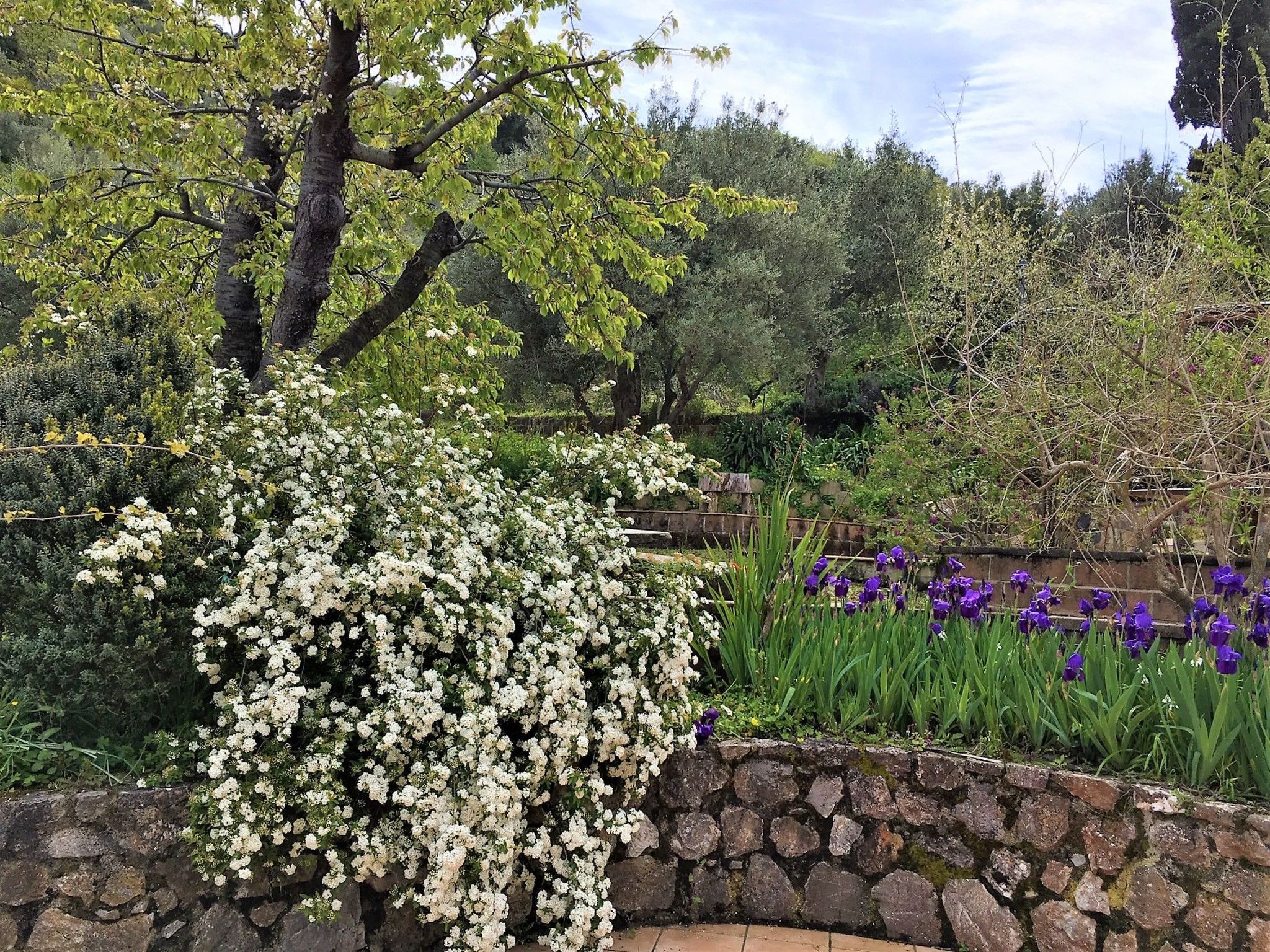 Granatapfel-Wohnung-Image-tags.info