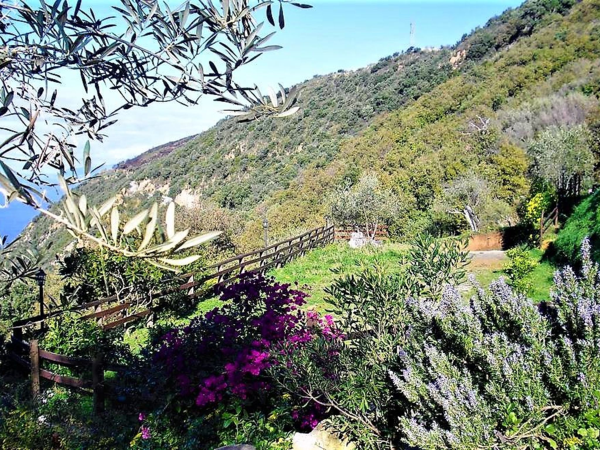 Orange Wohnung-Buiten