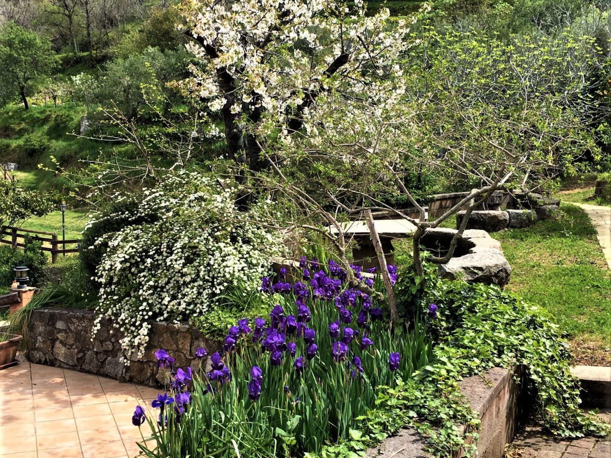 Orange Wohnung-Image-tags.info