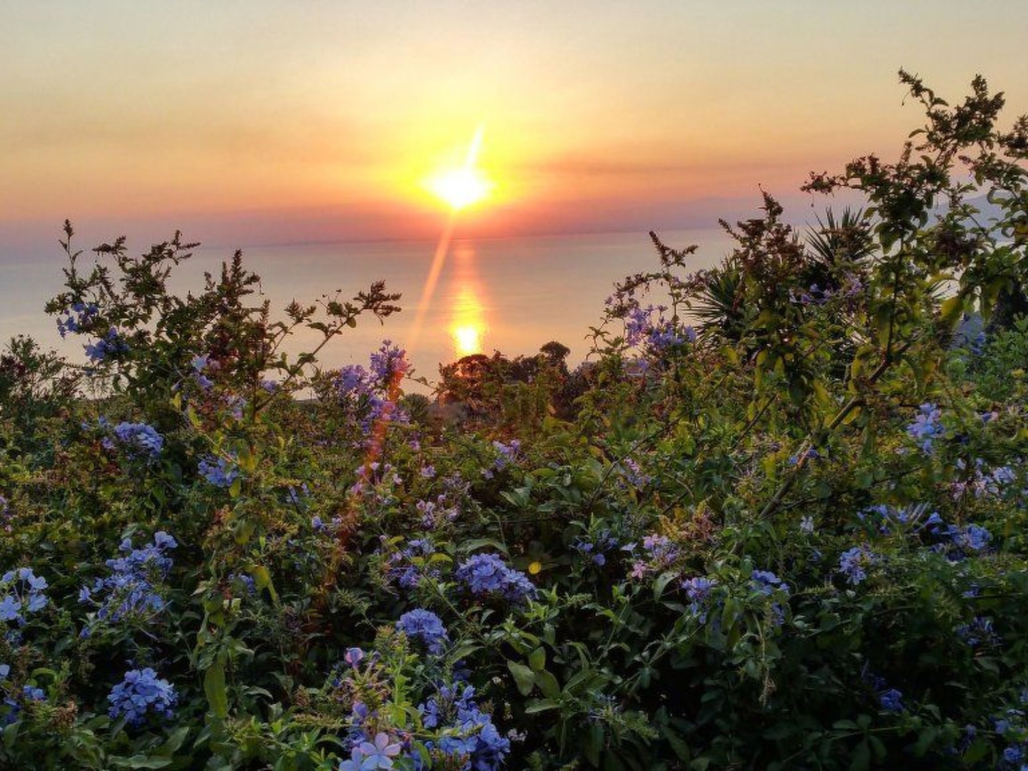 Die Villa Benincasa Wohnung mit Meerblick