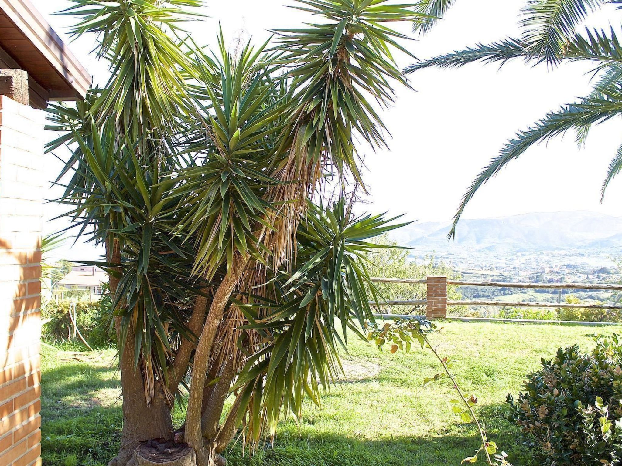 Die Villa Benincasa Wohnung mit Meerblick-Binnen