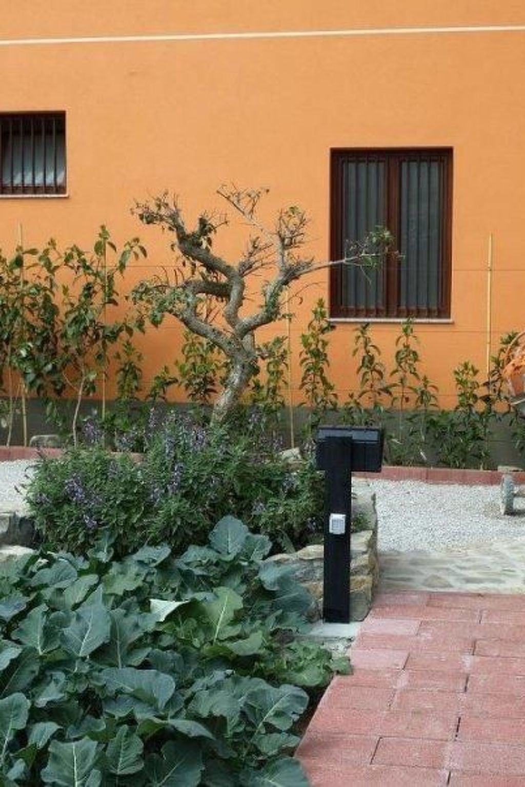 Casa Gatto nero-Image-tags.info