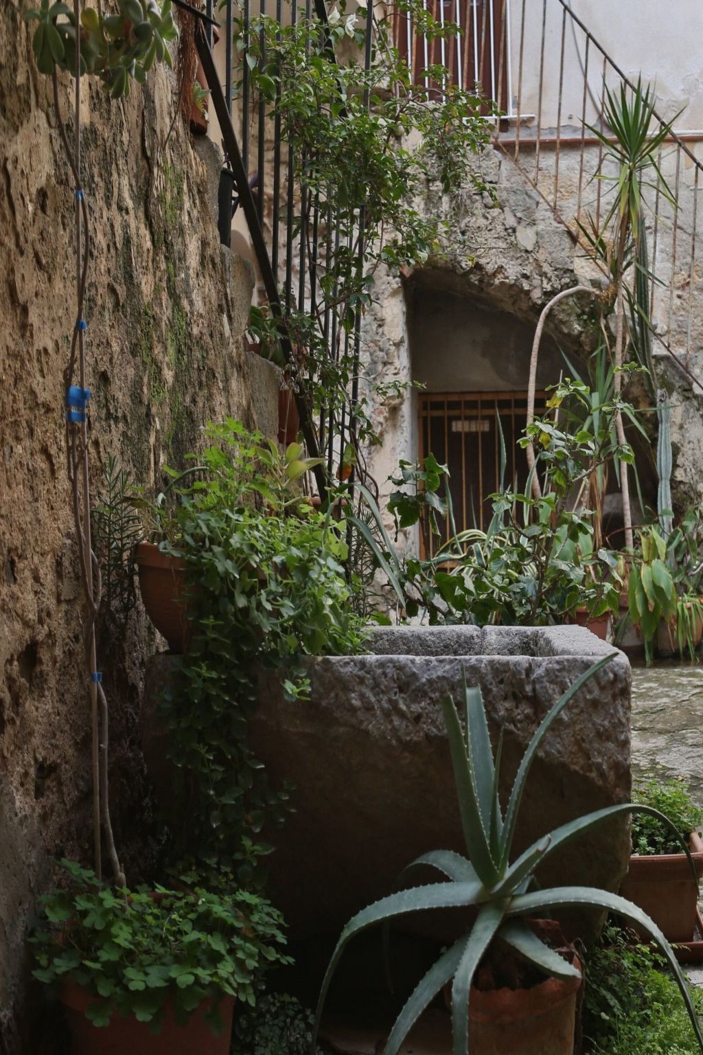 Innenhof-Terrasse-Inside