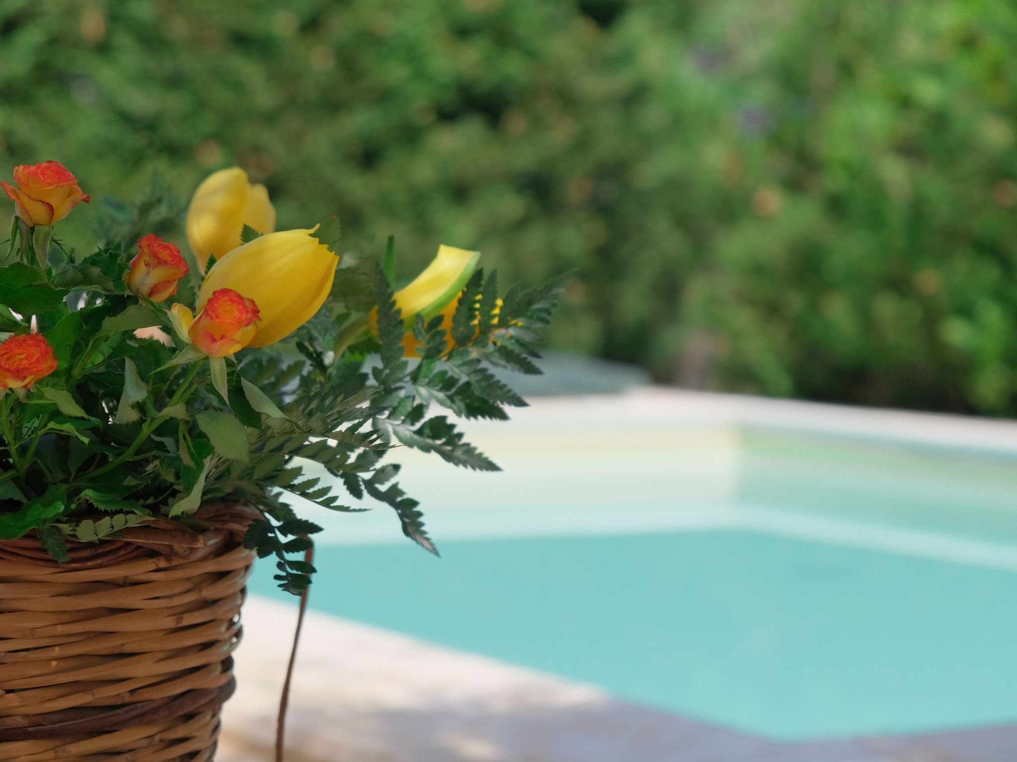 Villa of Wings-Binnen