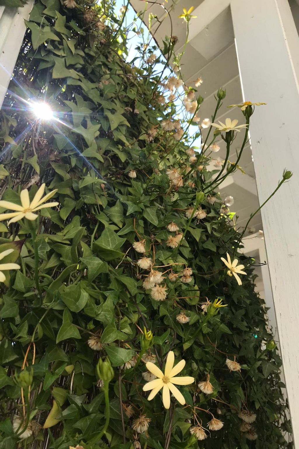 Strandhauswohnung mit Wasserblick