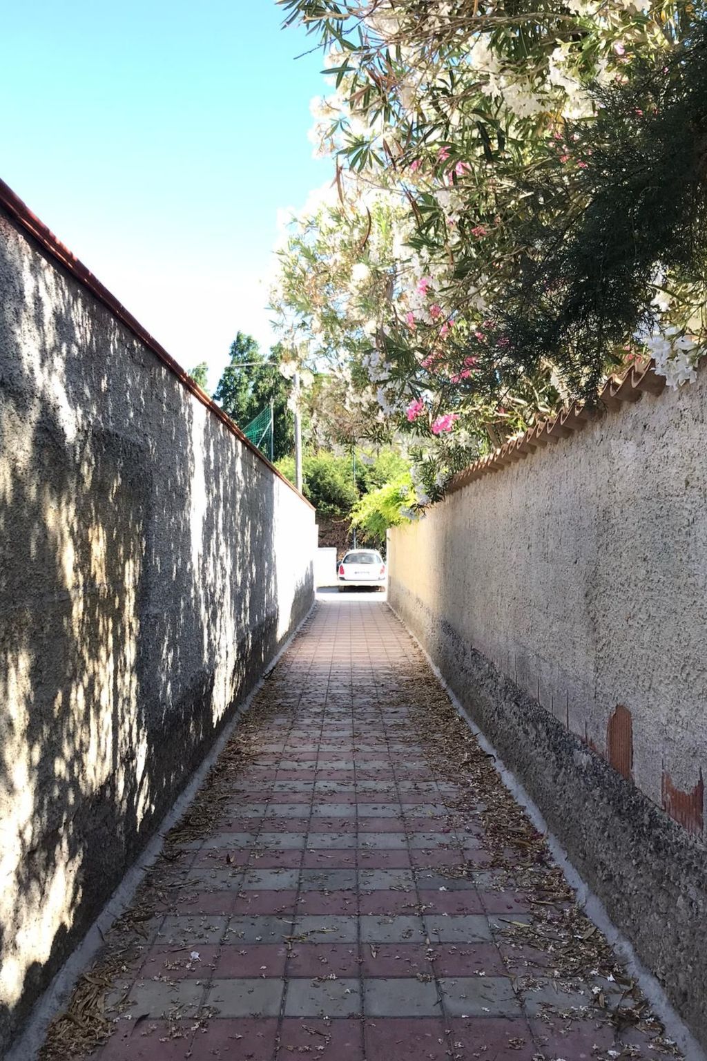 Strandhauswohnung mit Wasserblick-Image-tags.info