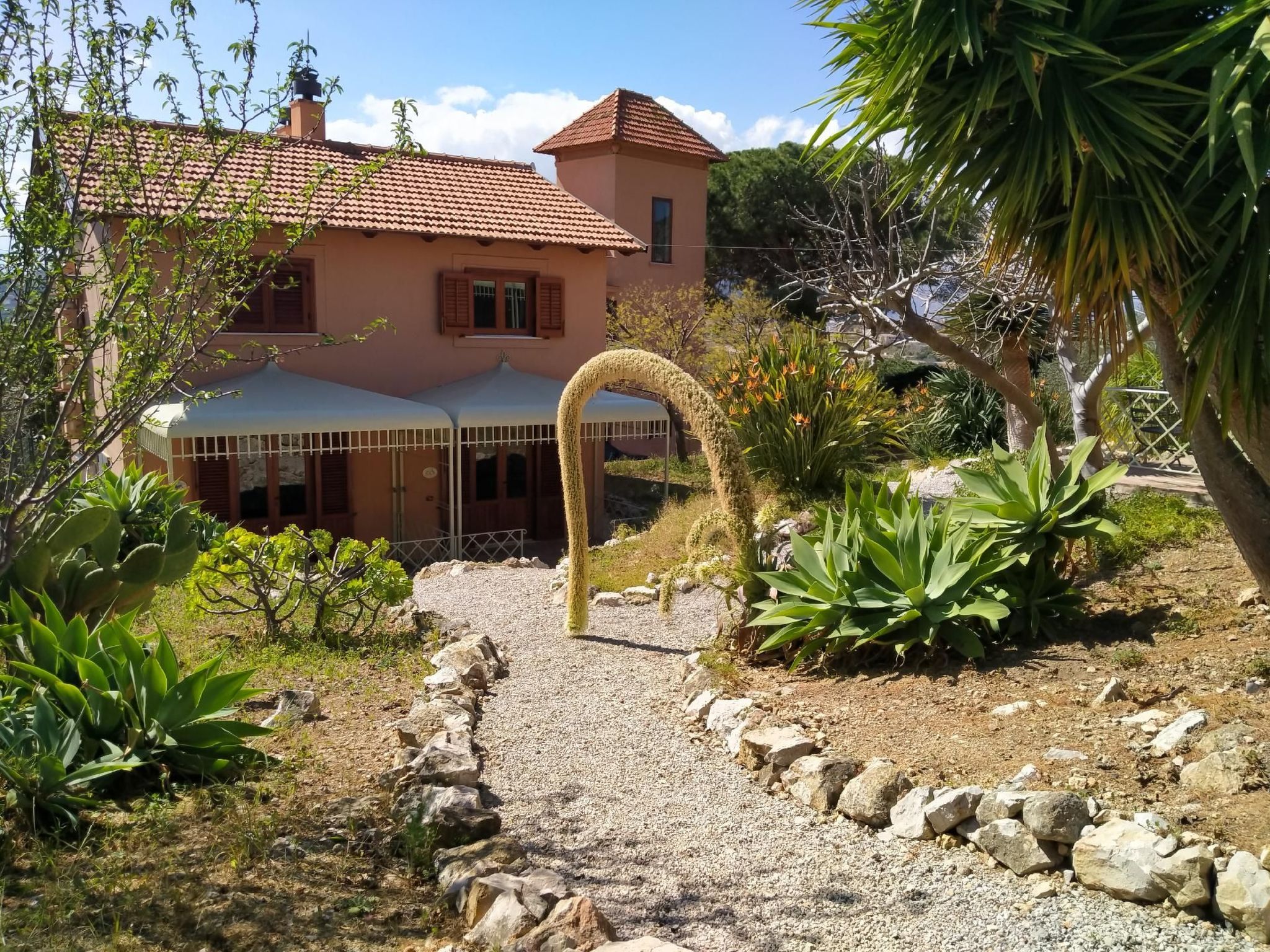 'Suite Ficodindia-Inside