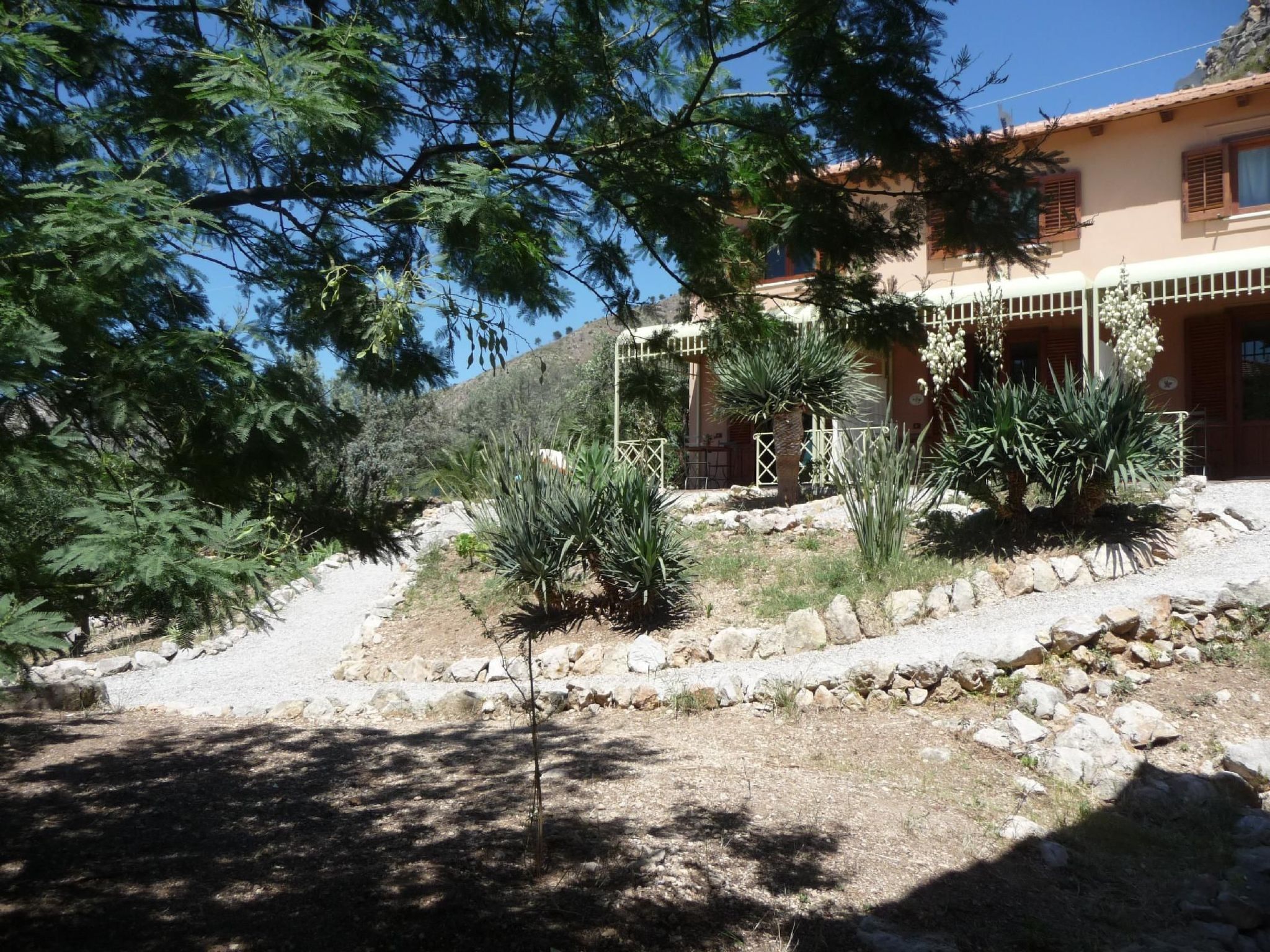 'Suite Ficodindia-Inside