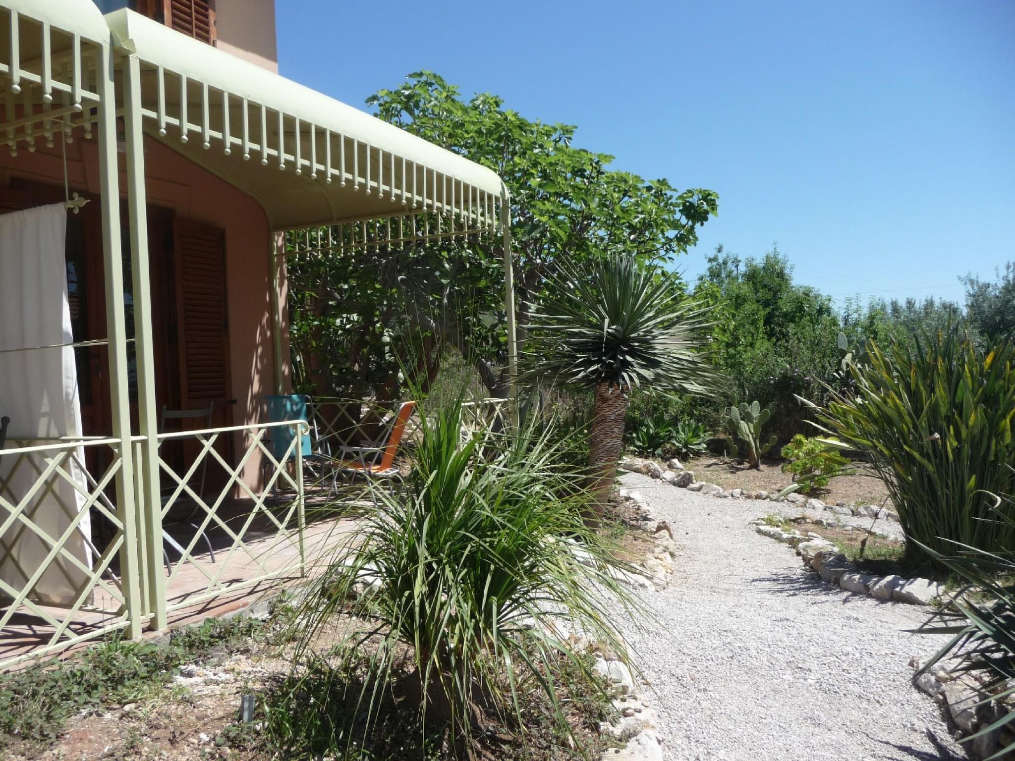 'Suite Ficodindia-Inside