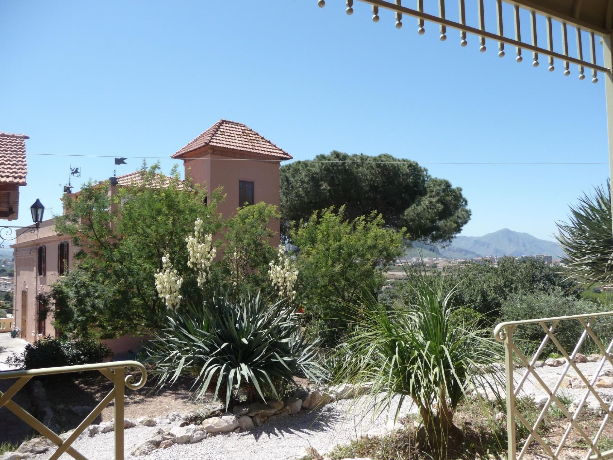 'Suite Ficodindia-Inside