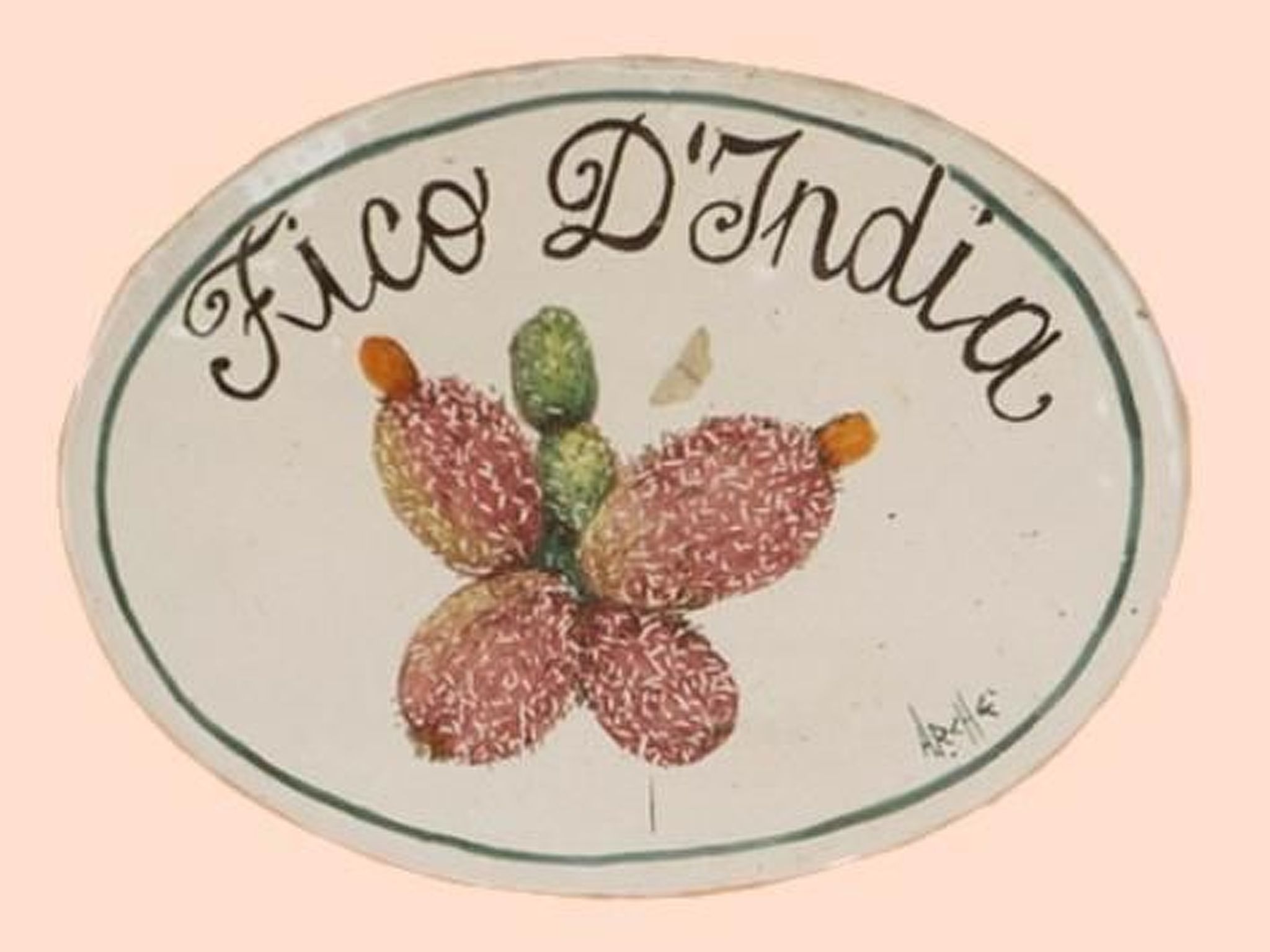 'Suite Ficodindia-Inside