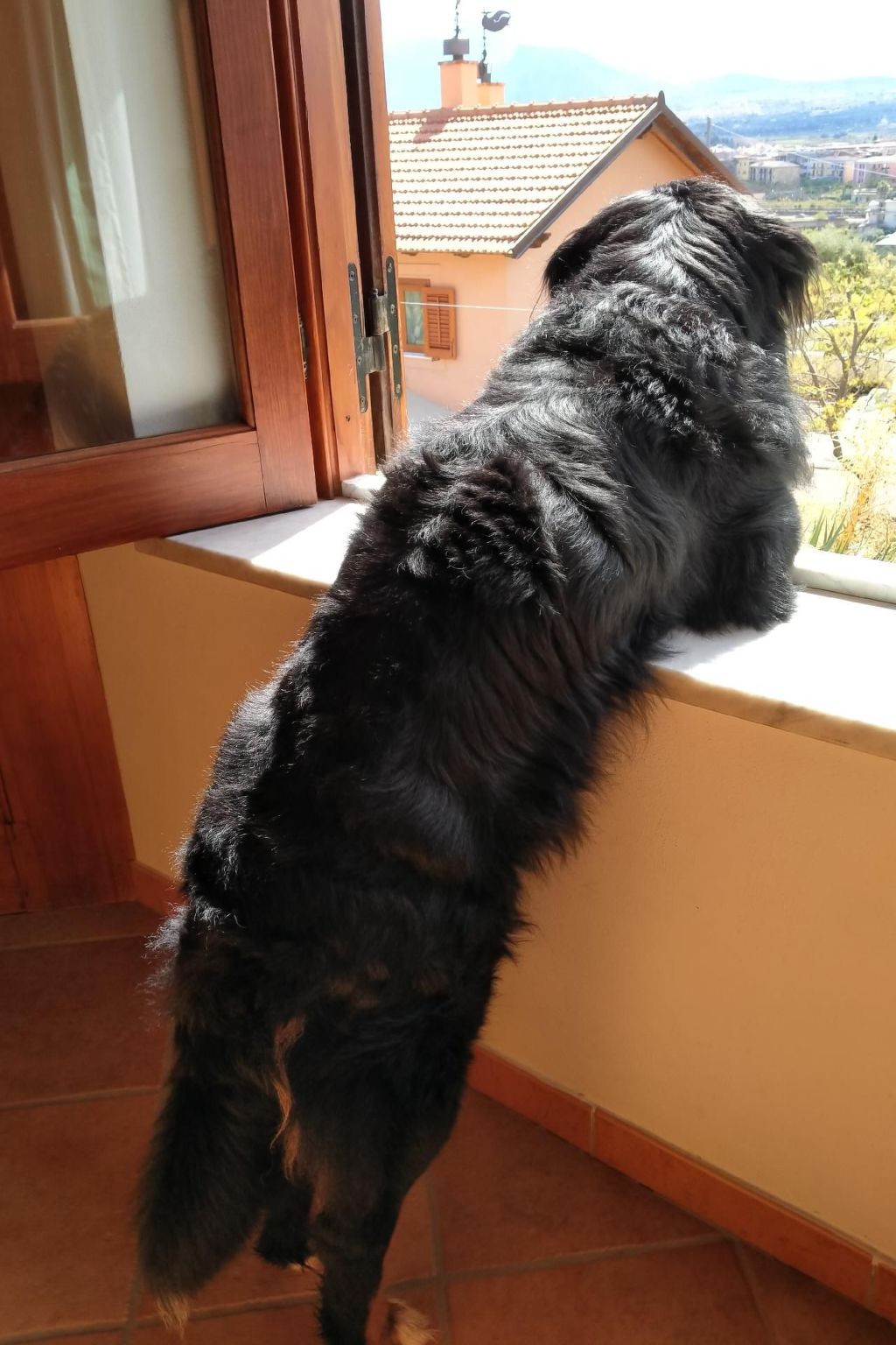 'Suite Ficodindia-Inside