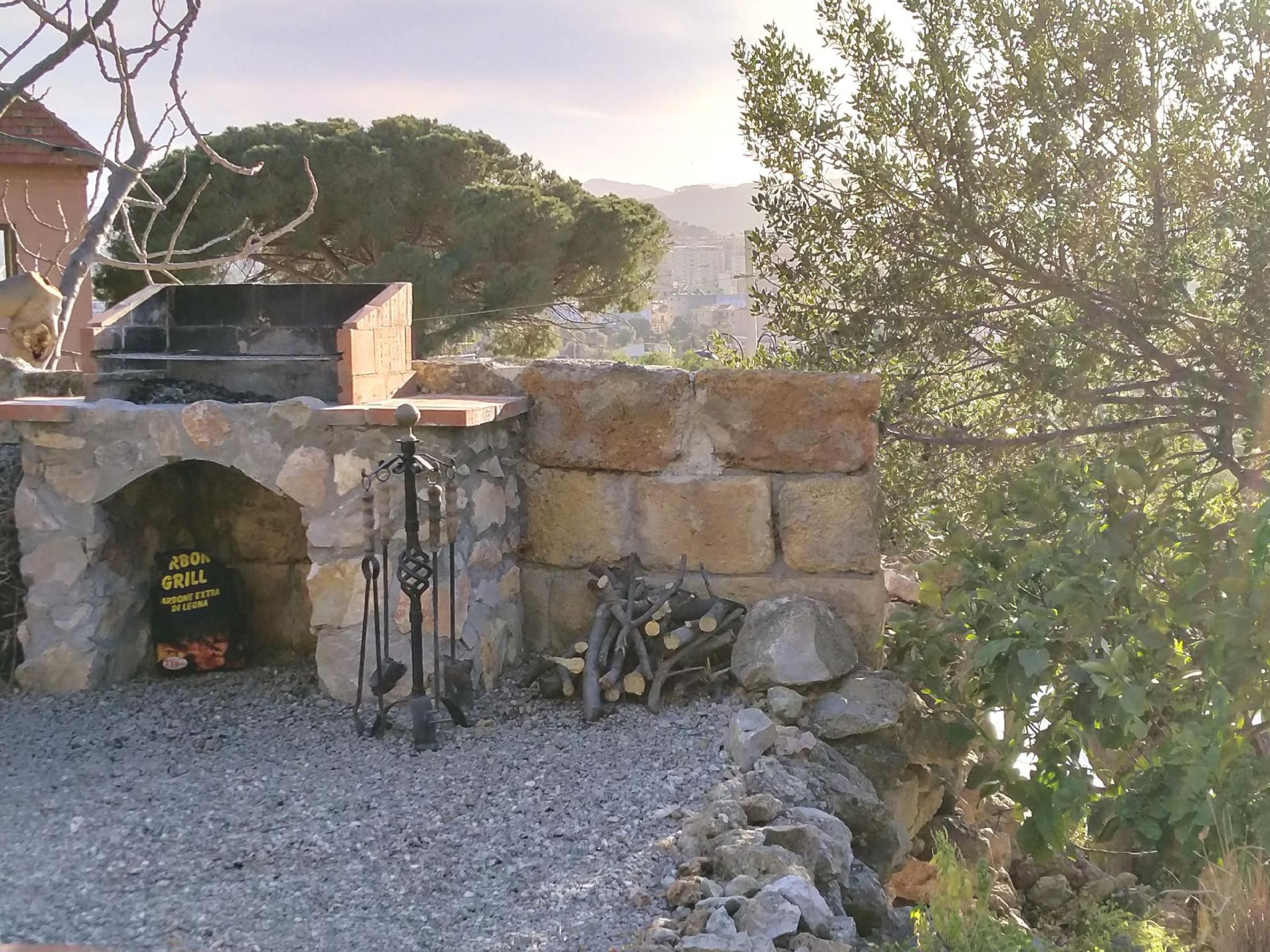 'Suite Ficodindia-Inside