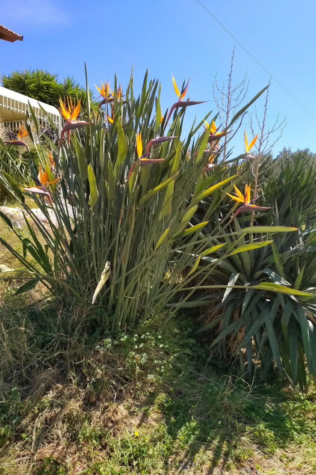 Manderino-Panoramasuite mit Park und Pool-Inside