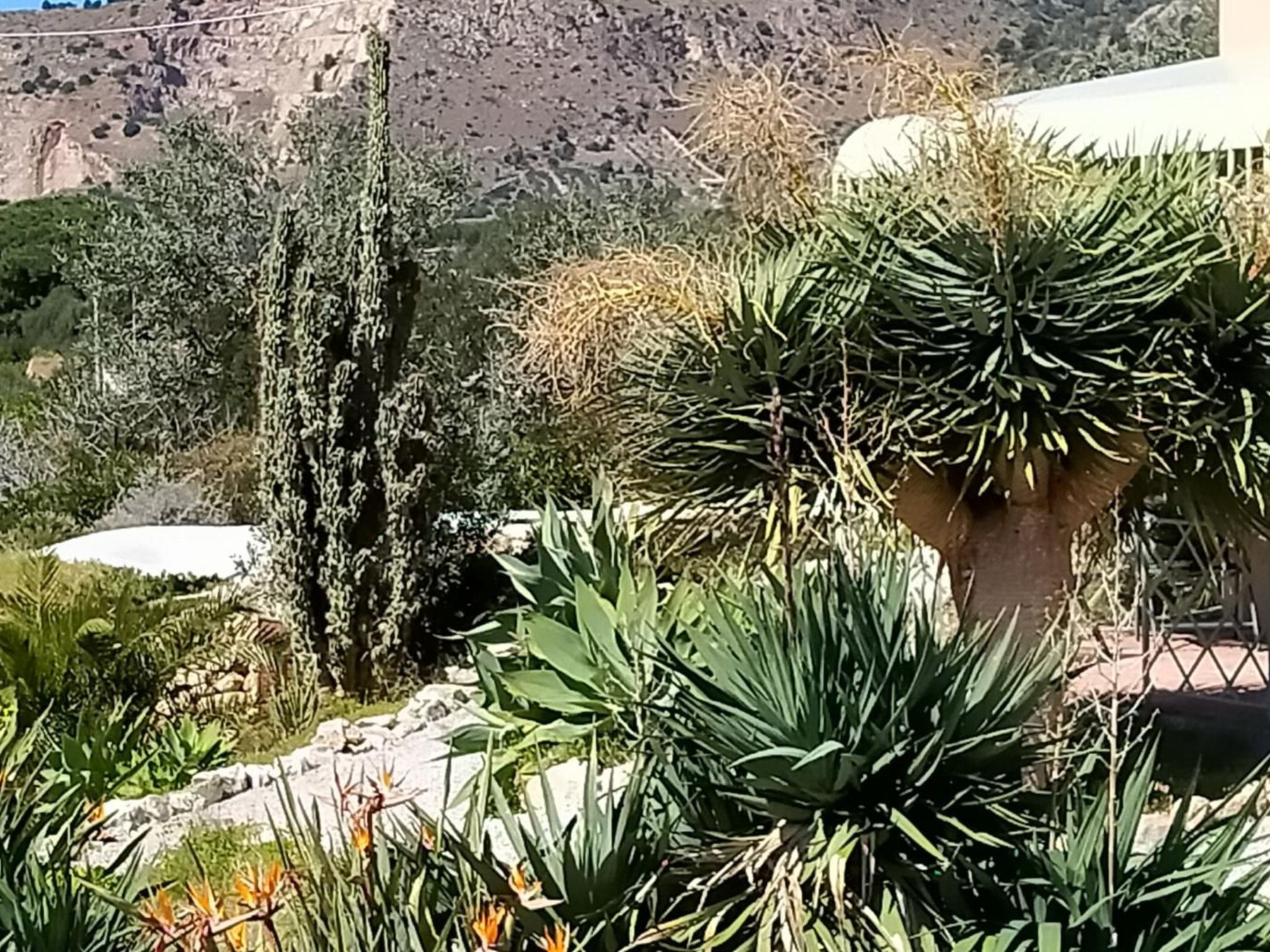 Manderino-Panoramasuite mit Park und Pool-Inside