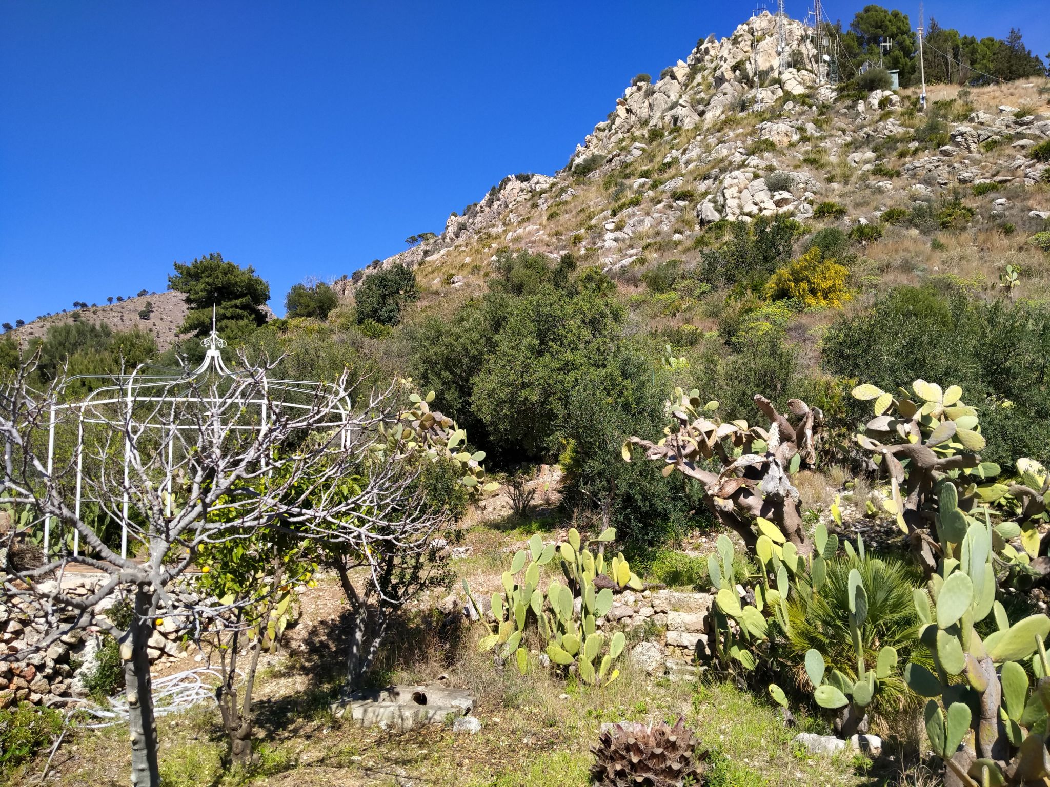 'Suite Zibibbo' mit Aussicht-Inside