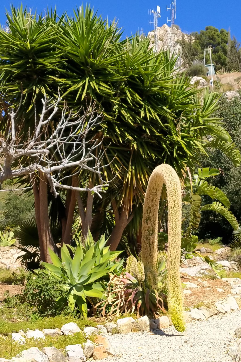 'Suite Zibibbo' mit Aussicht-Inside