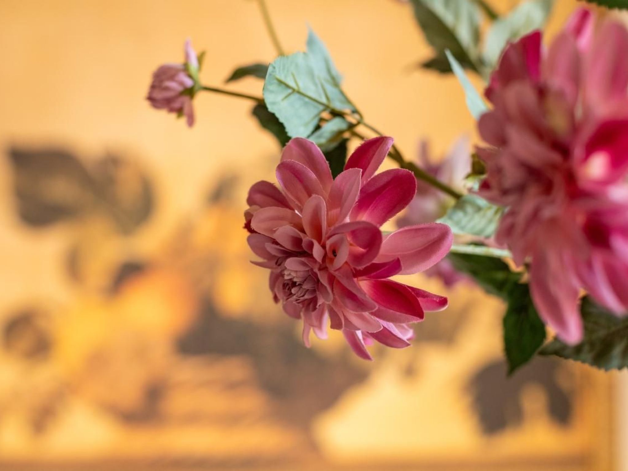 Charmante Wohnung in Marchesana mit Terrasse-Binnen