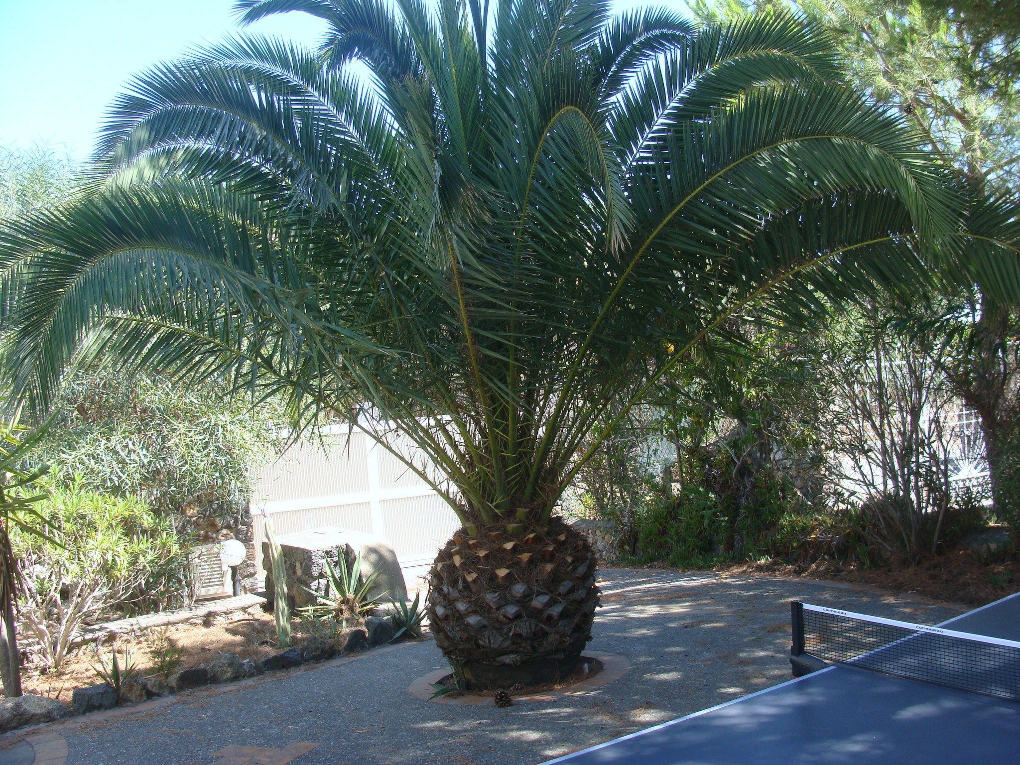 Villa Noir in Vulcanello-Image-tags.info