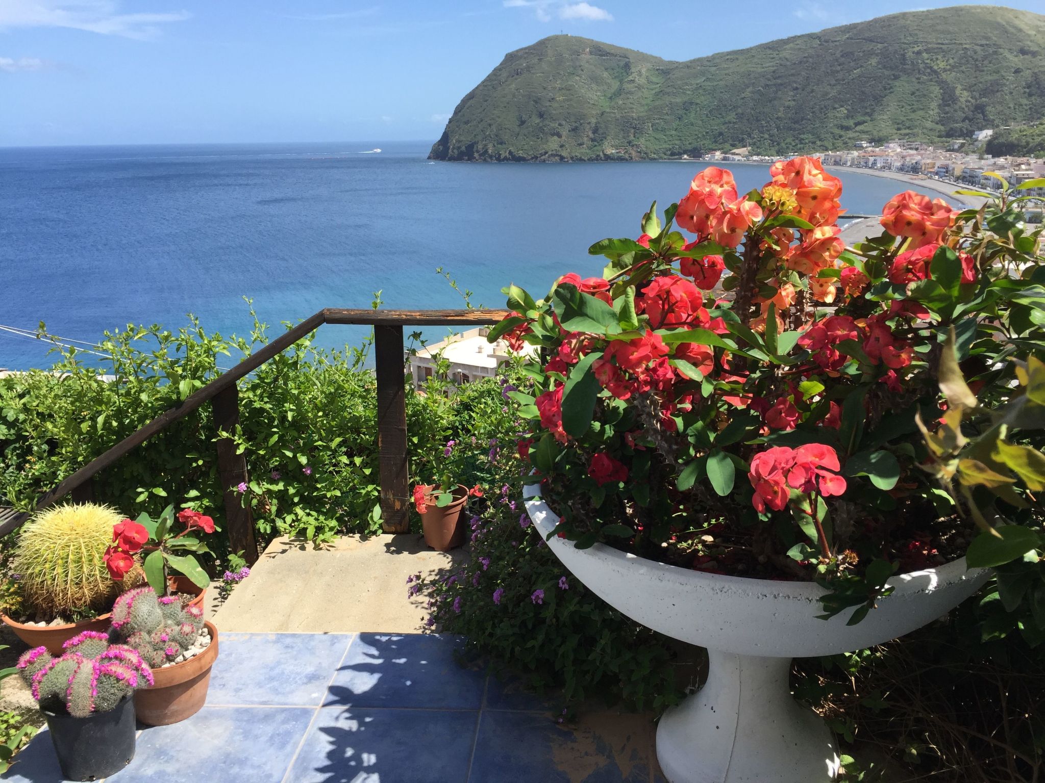 Flach D-Image-tags.info