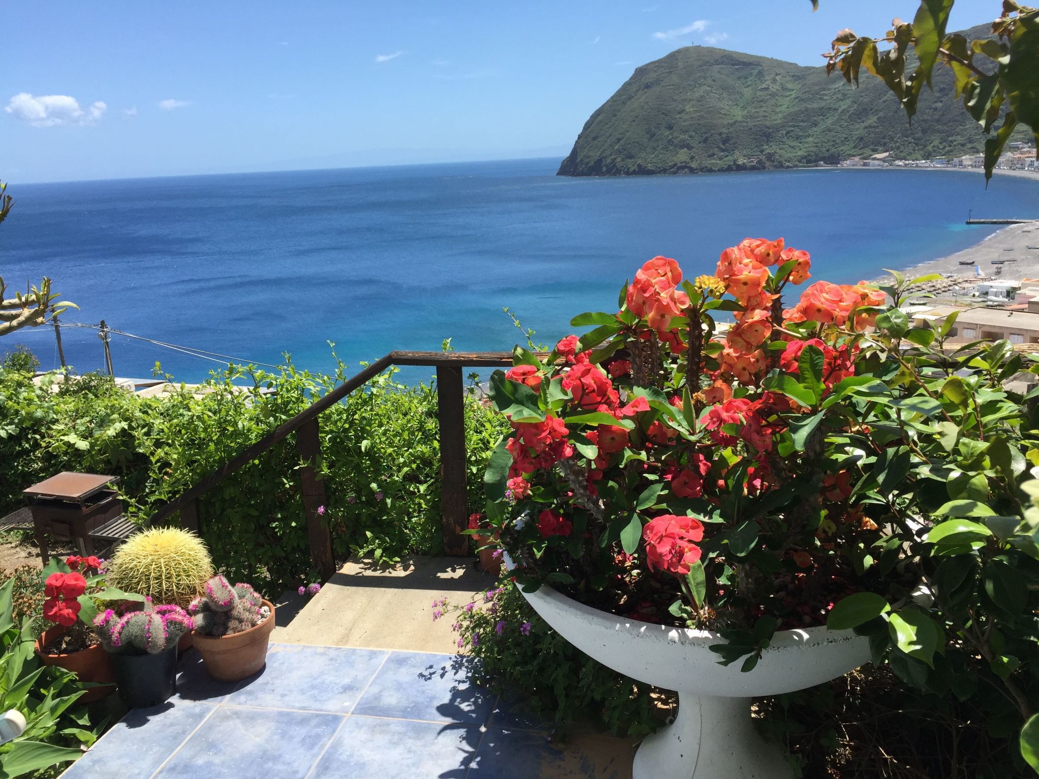 Flach D-Image-tags.info