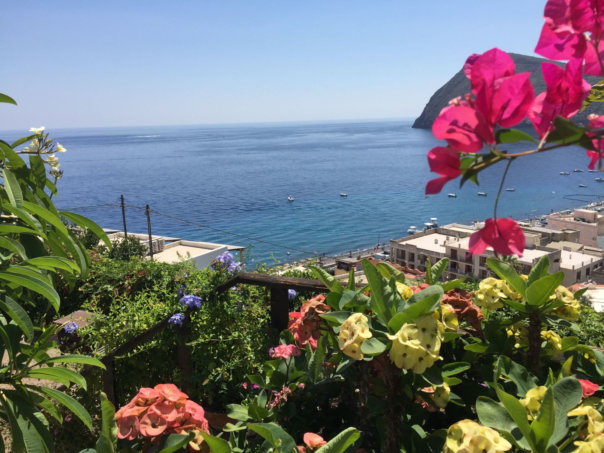 Flach D-Image-tags.info