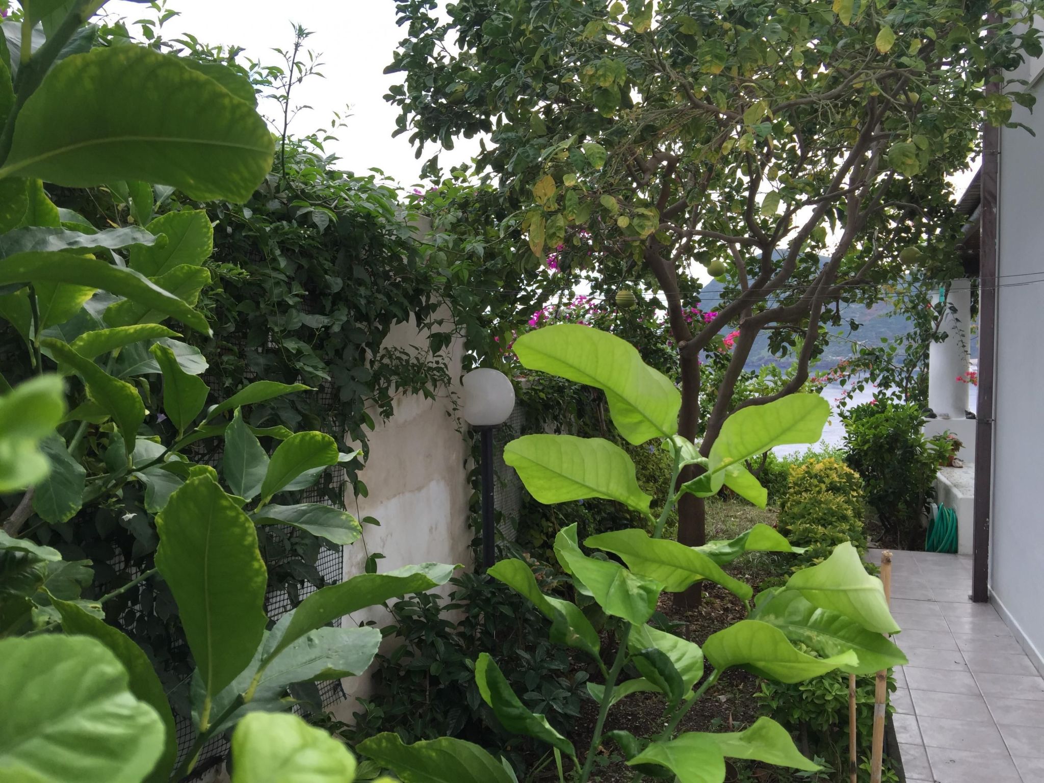 Wohnung C-Image-tags.info