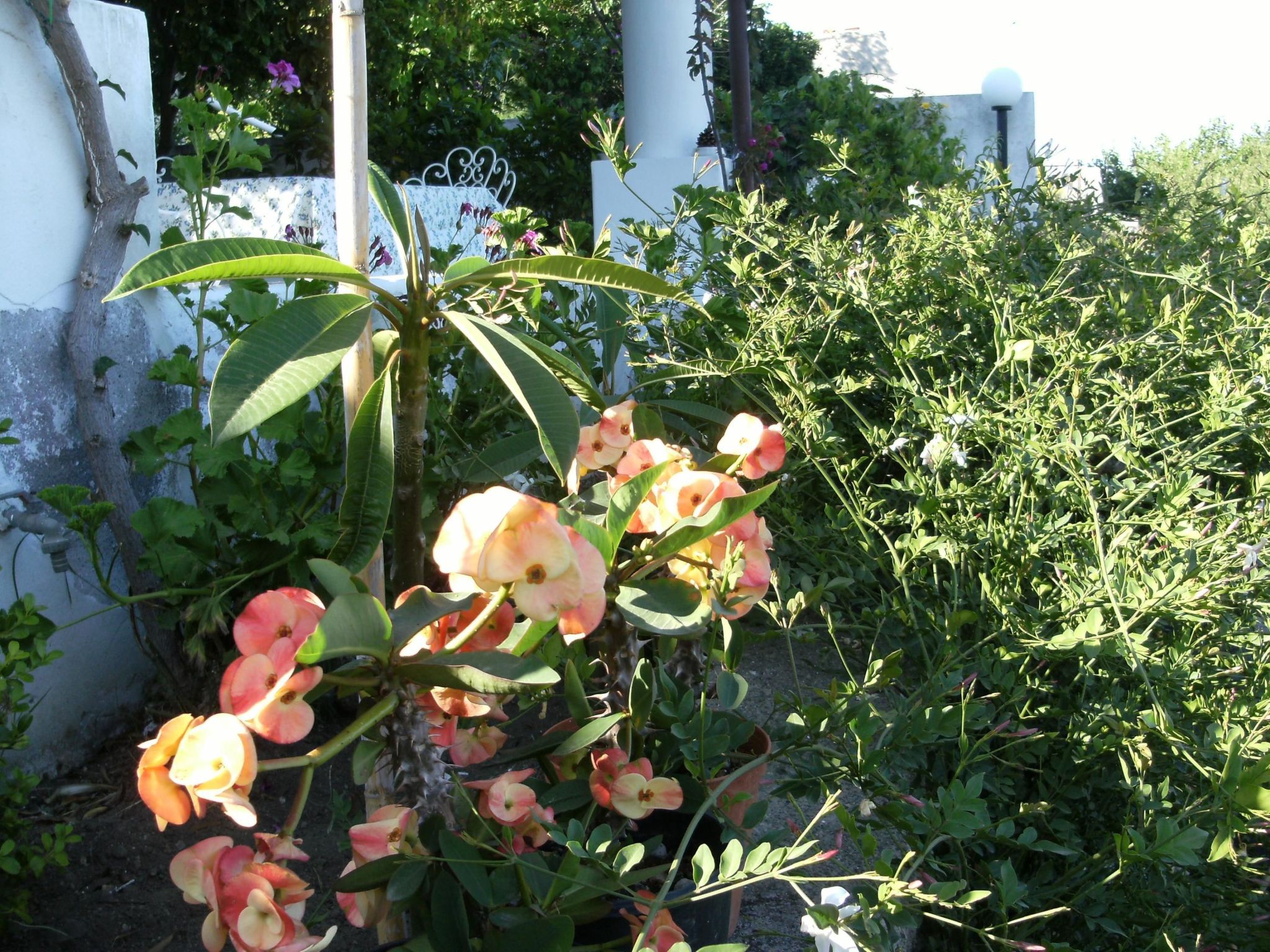 Wohnung C-Image-tags.info