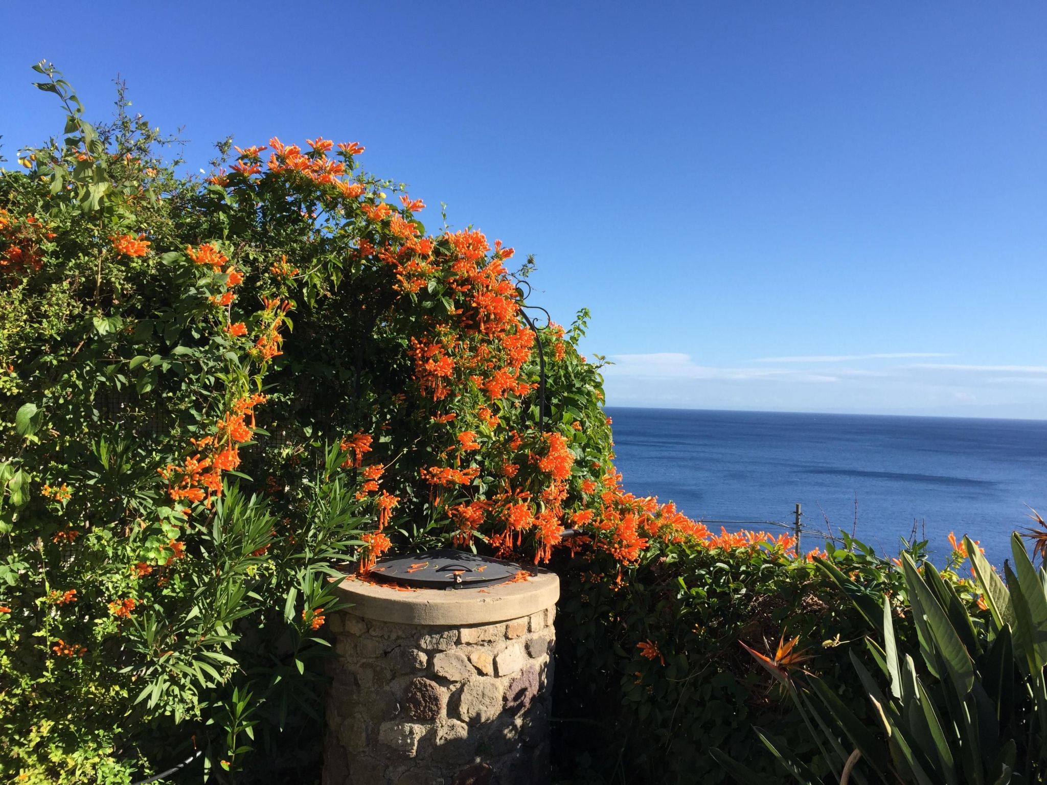 Wohnung C-Image-tags.info