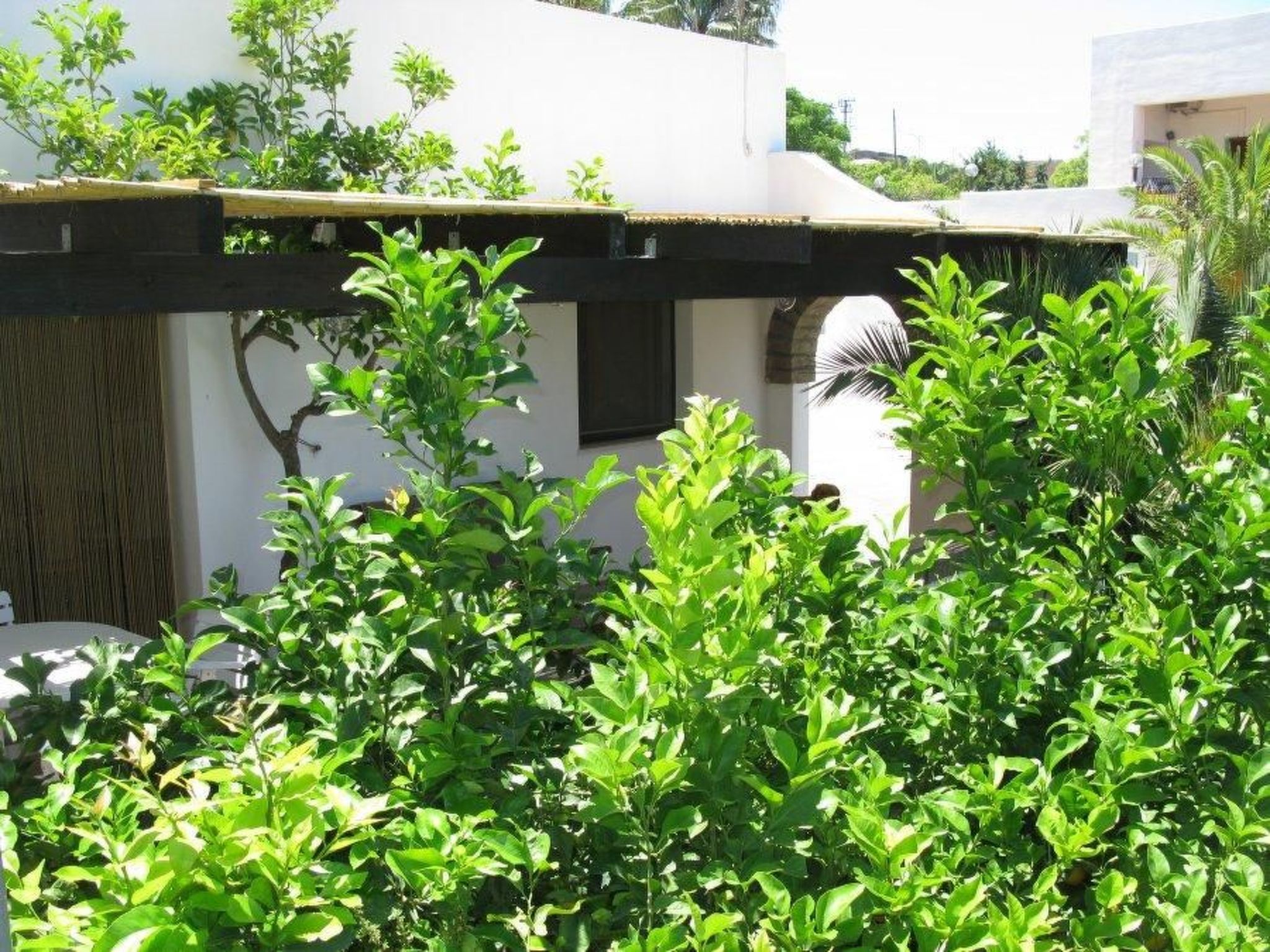 Wohnung 'Alba 8' mit Privatparkplatz