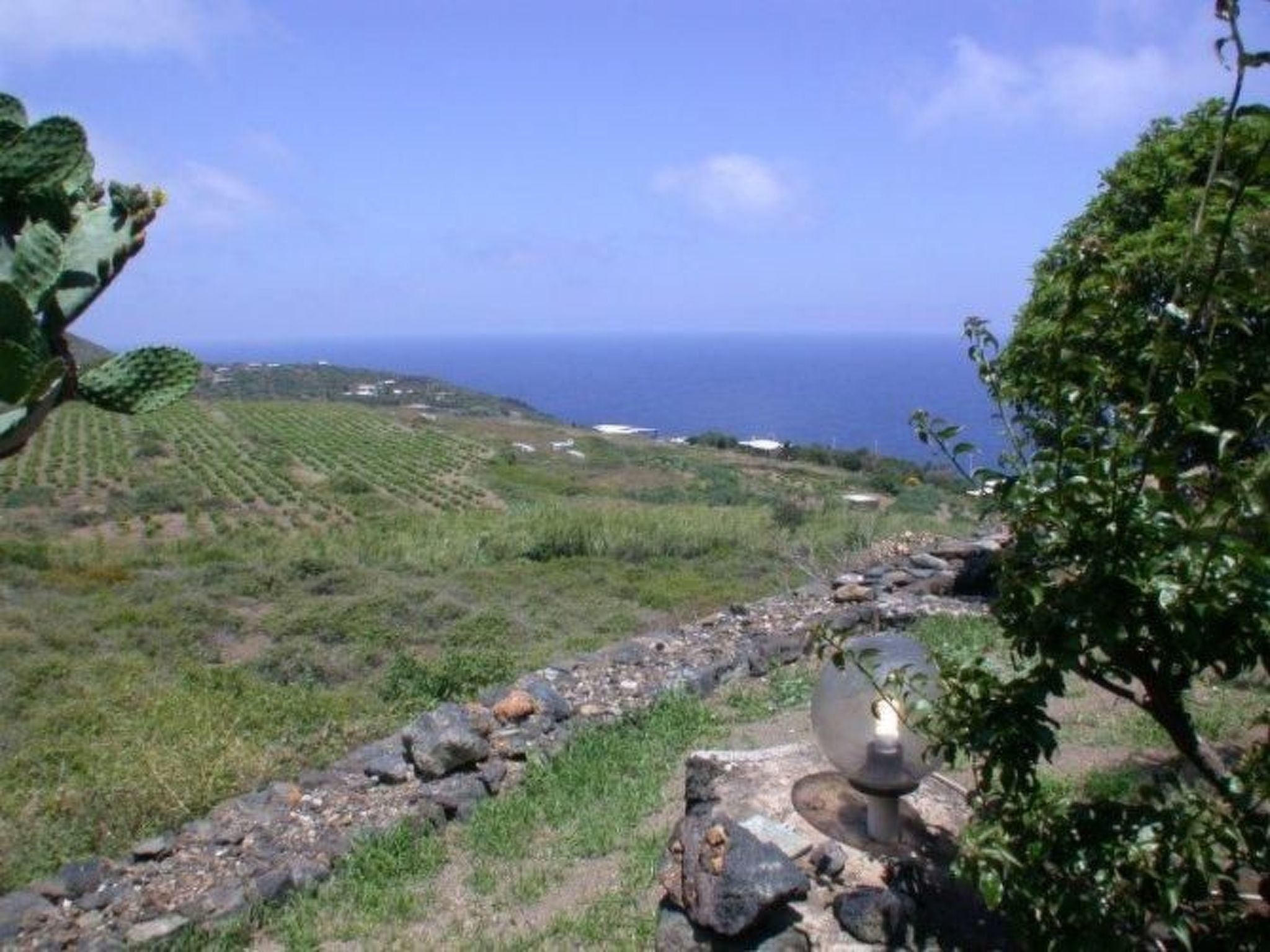 Ferienhaus in Pantelleria (Italien) und 1 Hund erlaubt