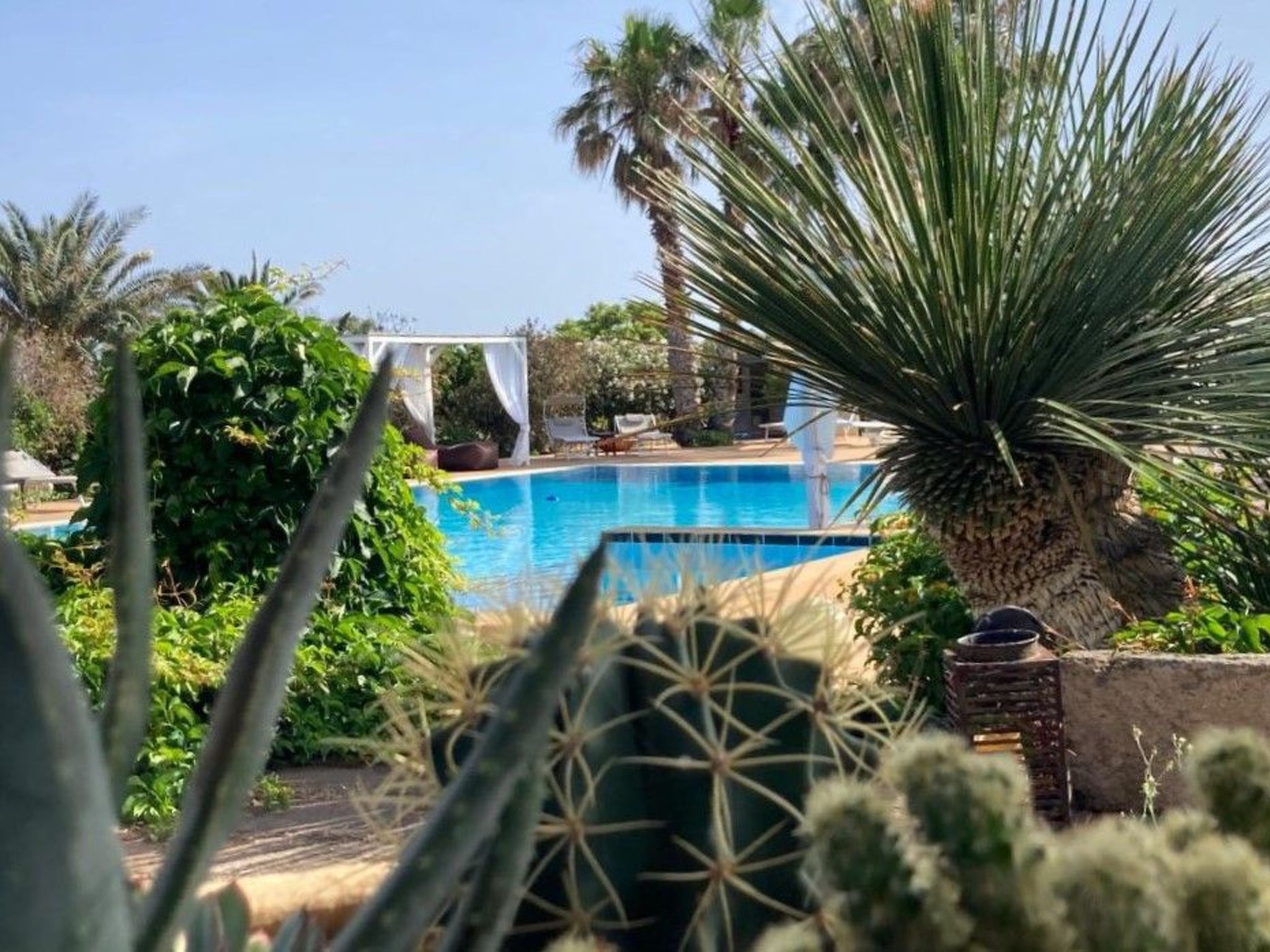 Stammes-Suite-Image-tags.info