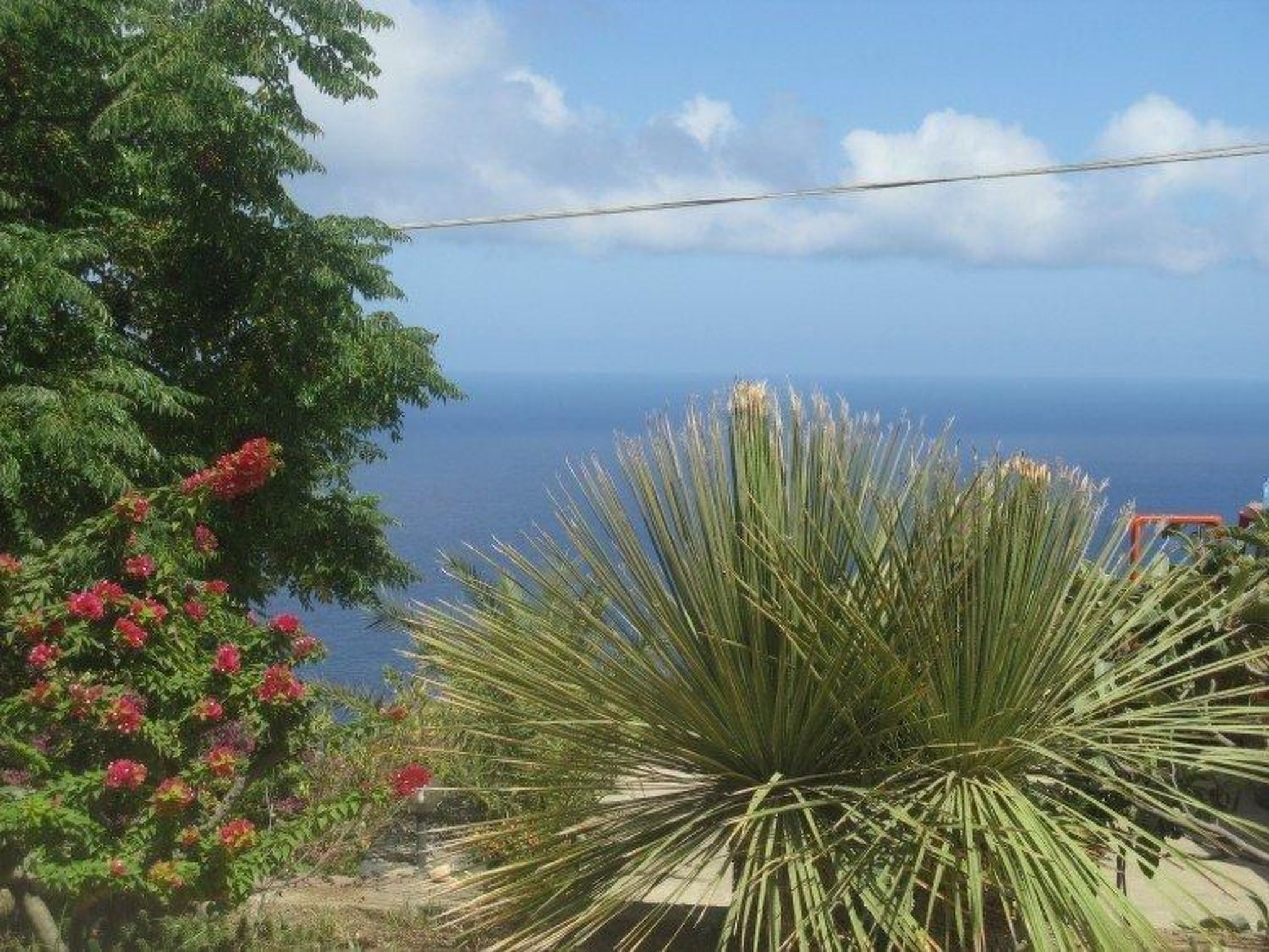 'Alba9' mit Wasserblick-Image-tags.info