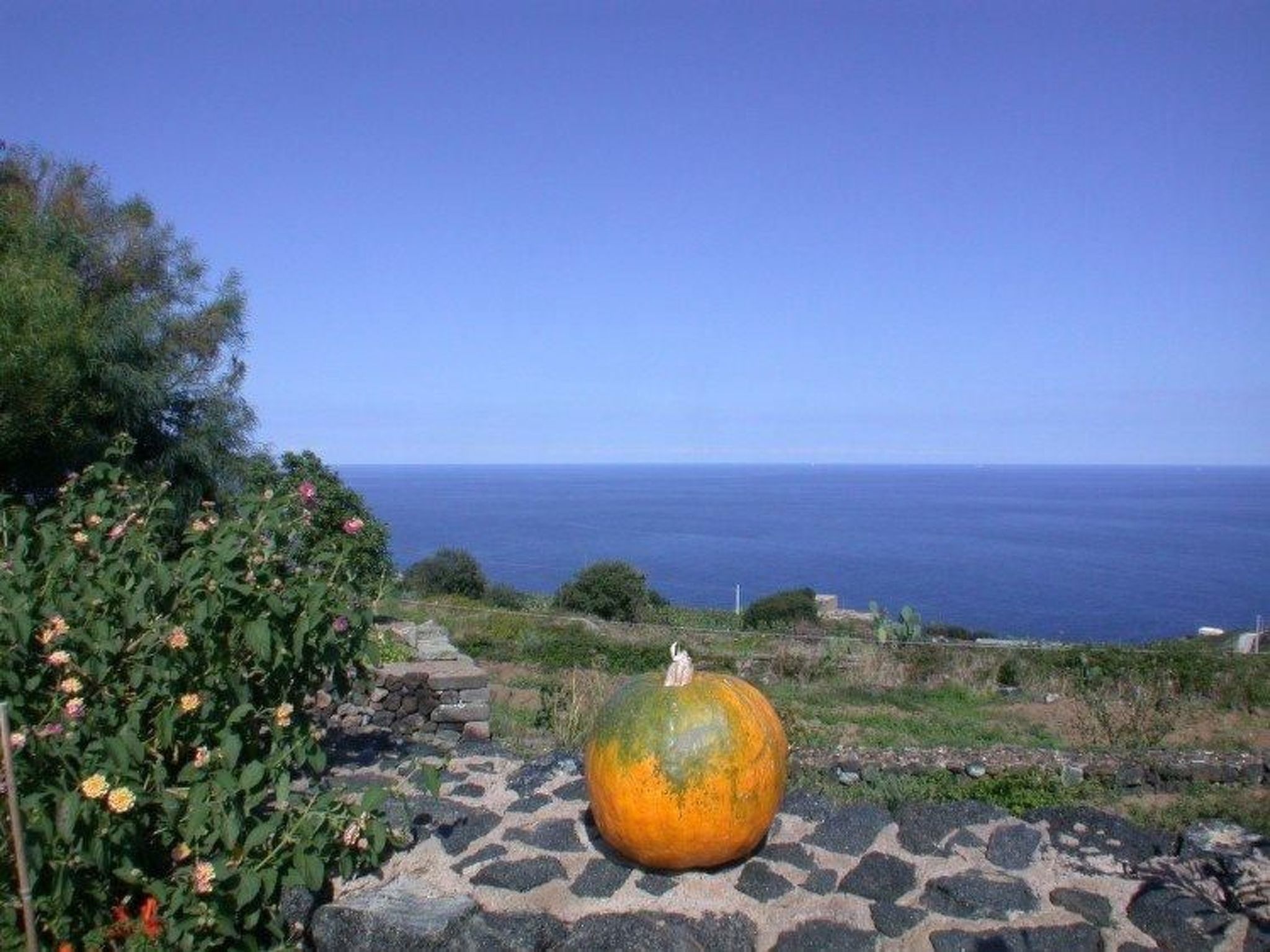 'Alba9' mit Wasserblick-Image-tags.info