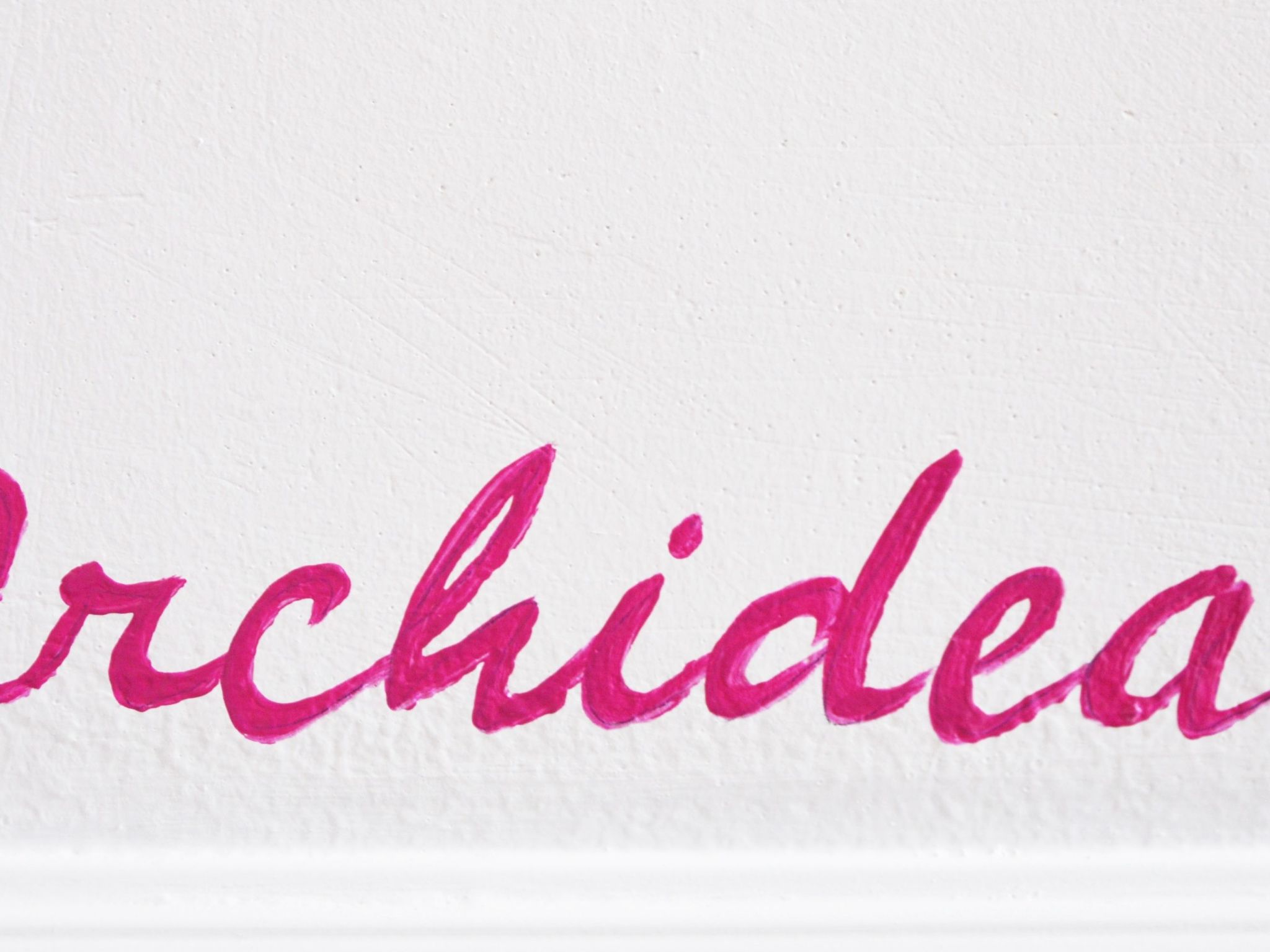 Für 10 Personen ca. 250 m&sup2; in Caltagirone, Sizilien (Provinz Catania)-Dedans