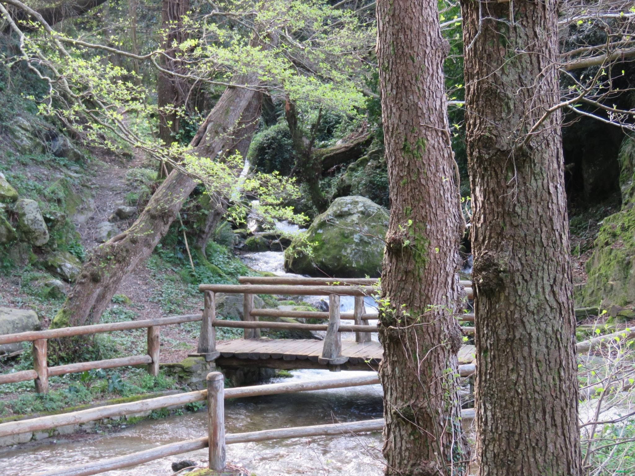 Ferienwohnung-Buiten