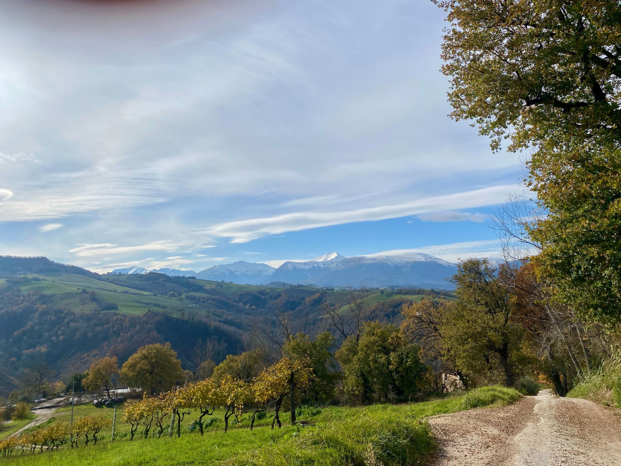 Casa Campodanzo-Image-tags.info