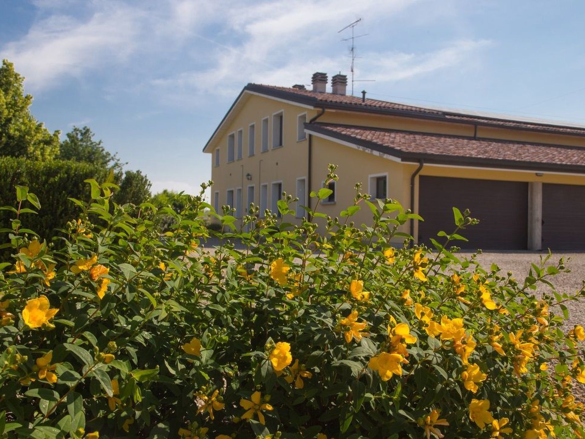 Wohnung "Erica" auf einem Bauernhof-Buiten