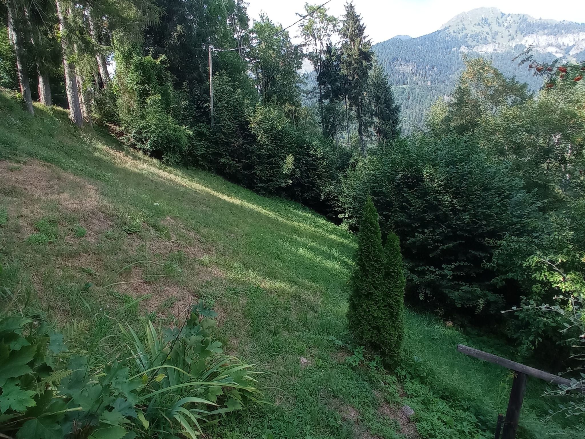 Annas Haus im Dolomiten-Nationalpark-Dedans