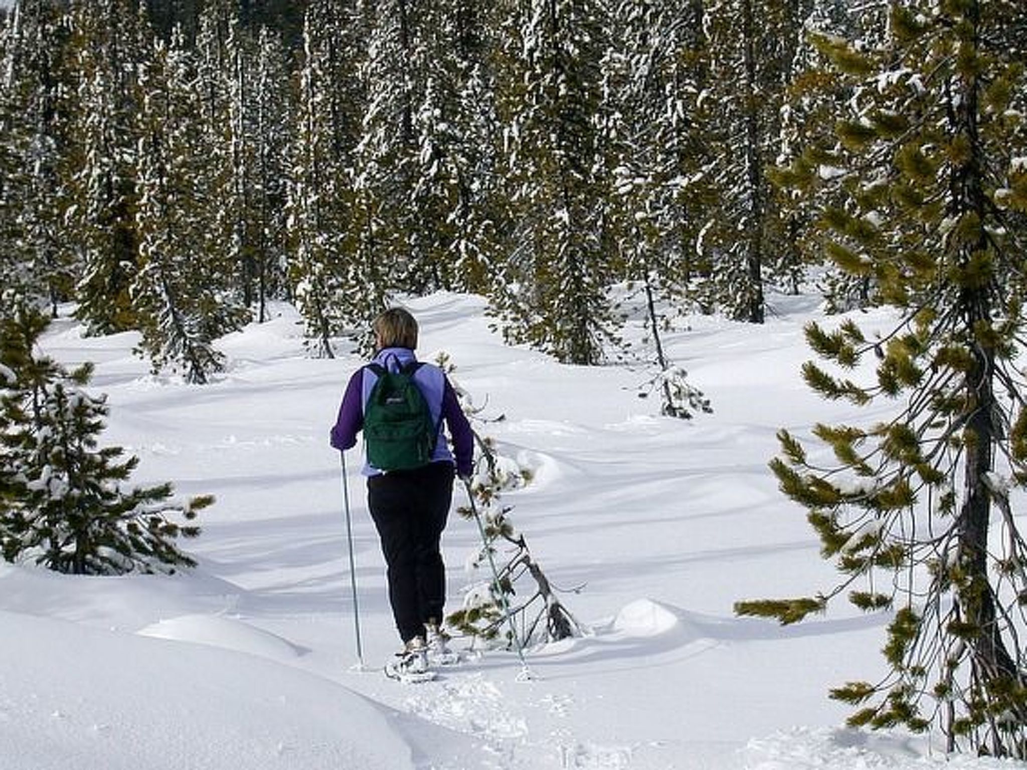 Annas Haus im Dolomiten-Nationalpark-Dedans
