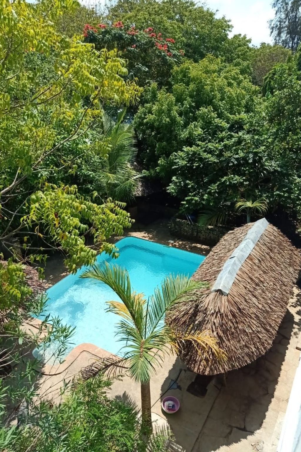 Maison Chui – photo, photo 20 sur 45