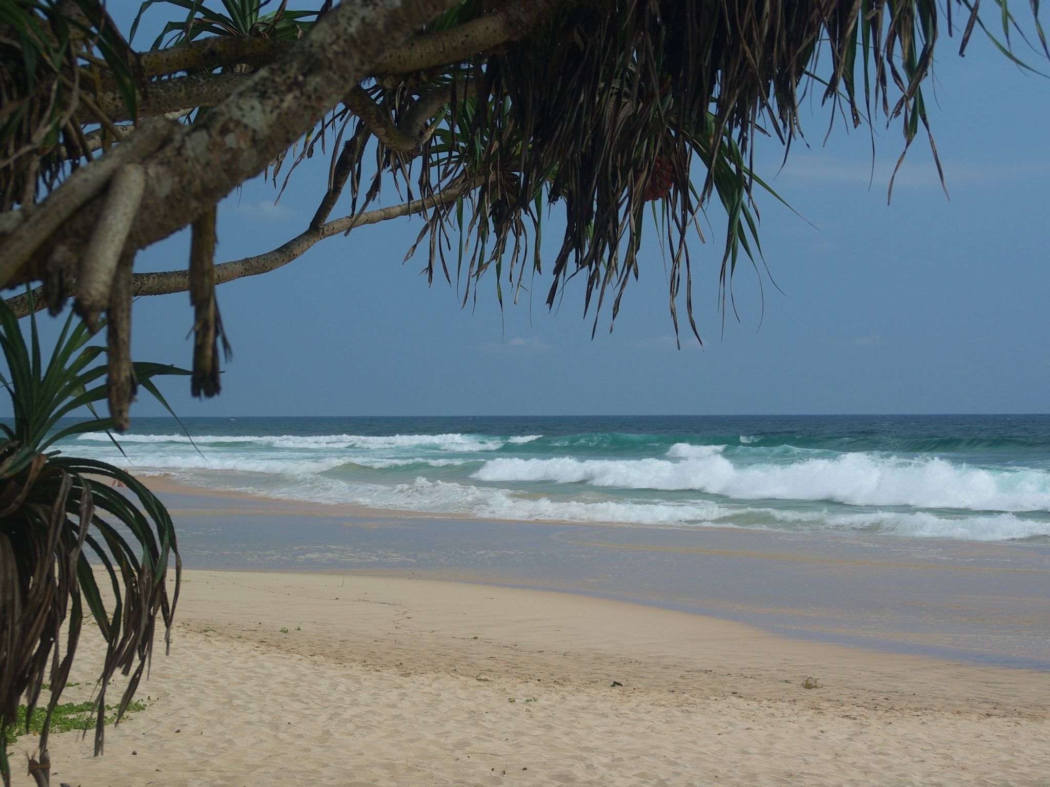 Maison in Habaraduwa mit Eigener Terrasse – Plage, photo 25 sur 50