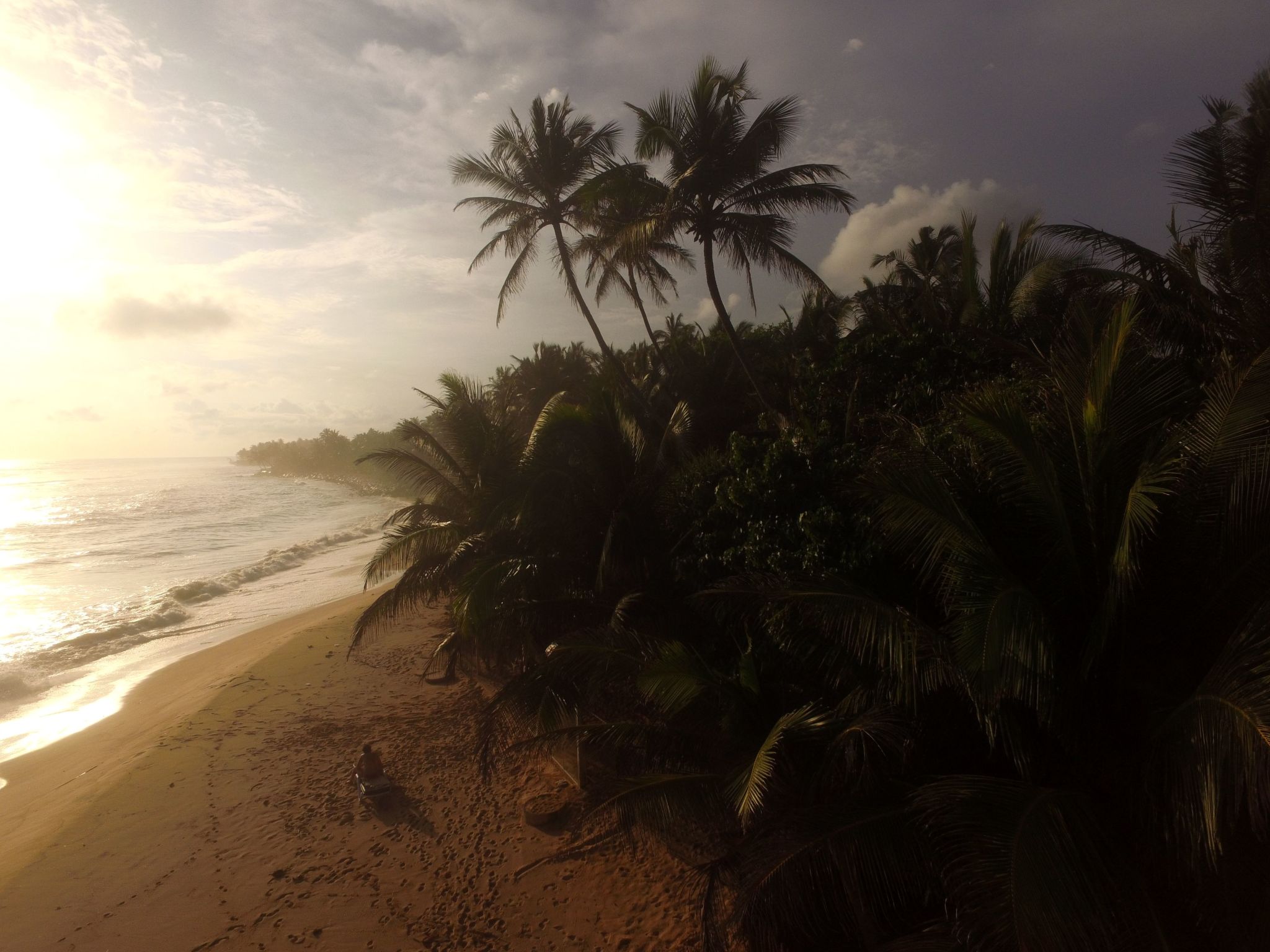 Chambre Palmtree – photo, photo 21 sur 25